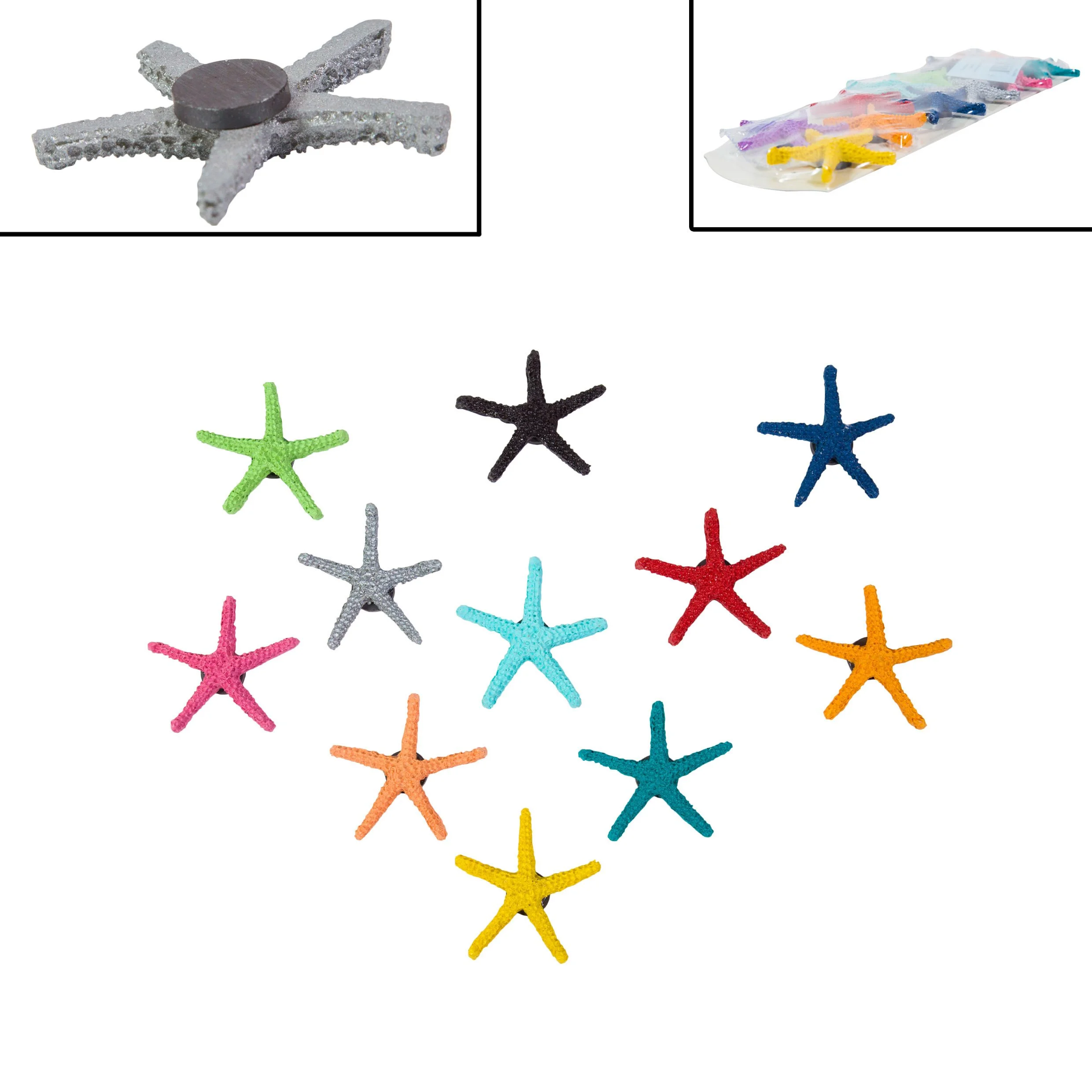 Vibrant Coastal Starfish Magnet, 12 Assorted Colours