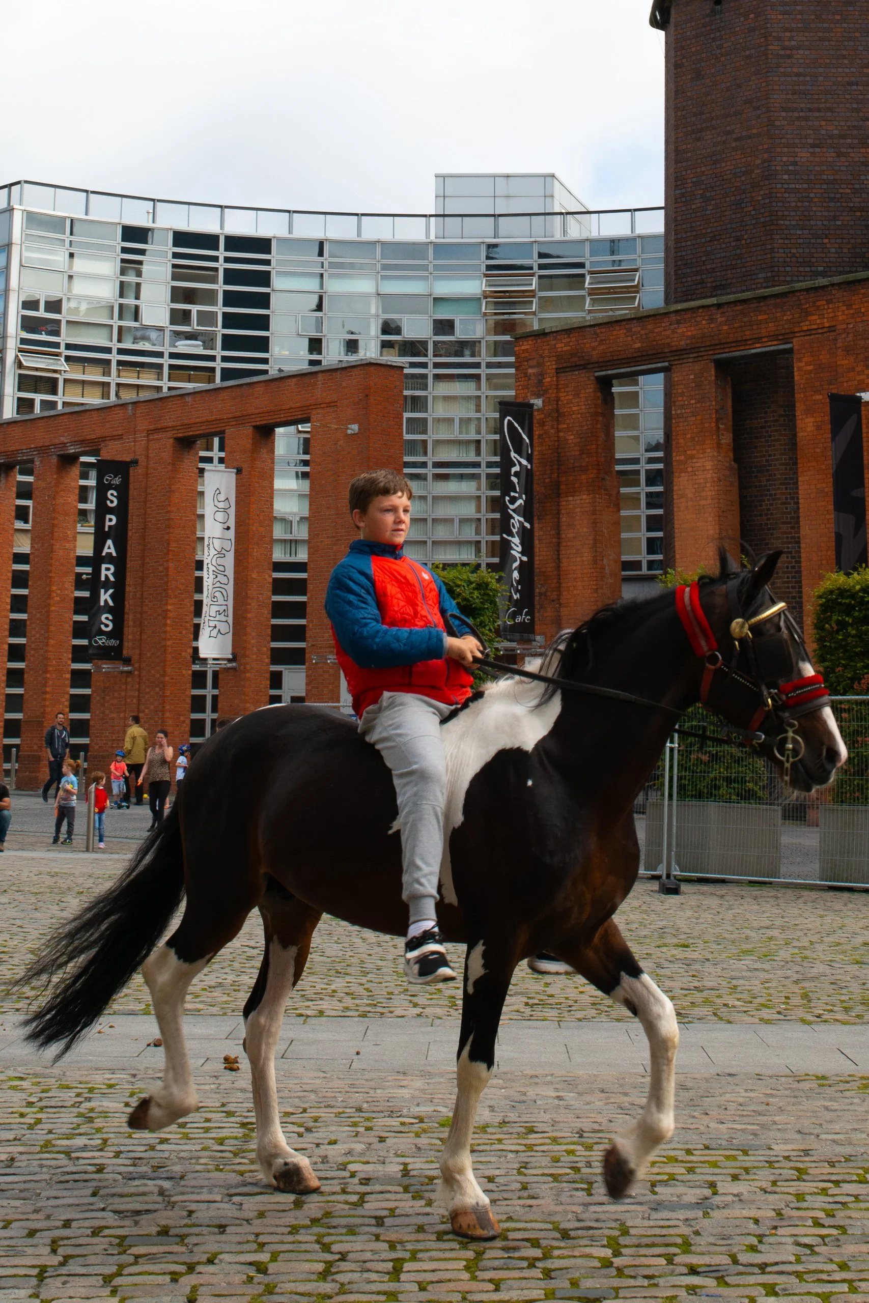 Balthazar_de_AndradeDSC_5298-1.jpg