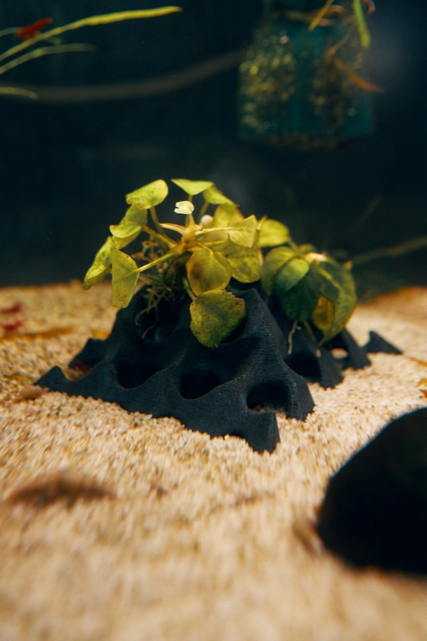 Gemini_Generated_Image_iqt9hyiqt9hyiqt9.png (Copy)