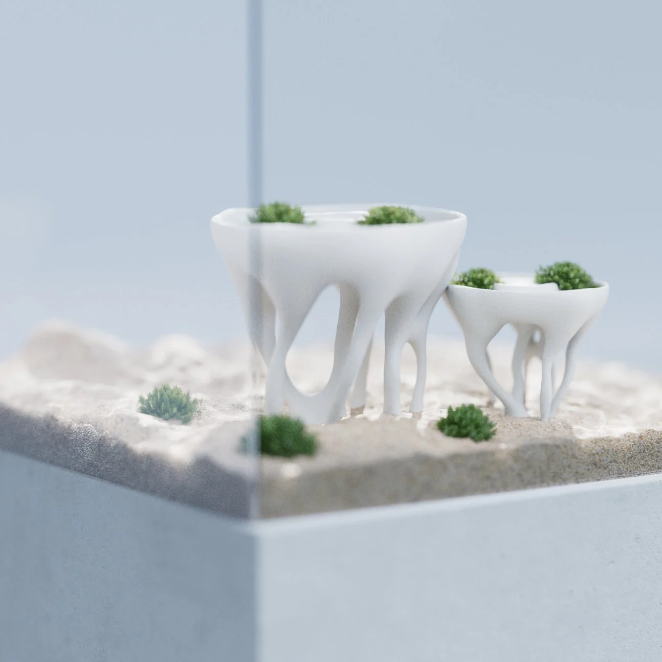 Mangrove Planter