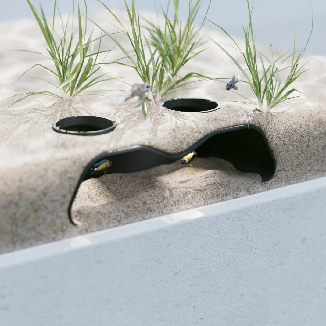 Double Hole Aquarium Cave BLK Sand.jpg