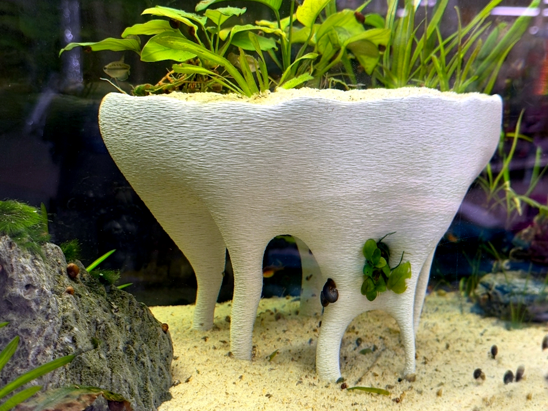 MangroveCenterpiece Tank 2.png