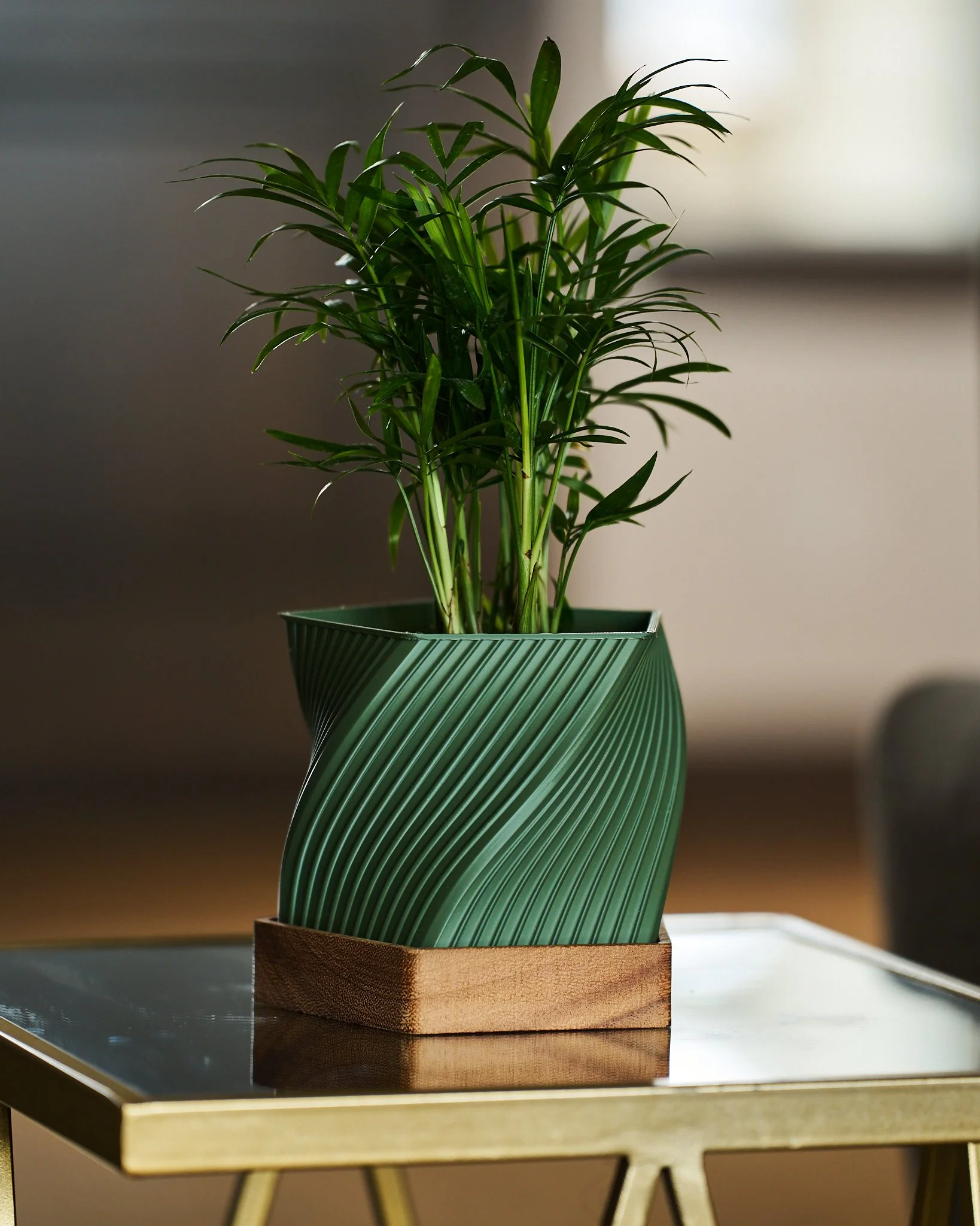 Modern Pentagon Planter with Walnut Base | Geometric 5" Pot, Custom Color