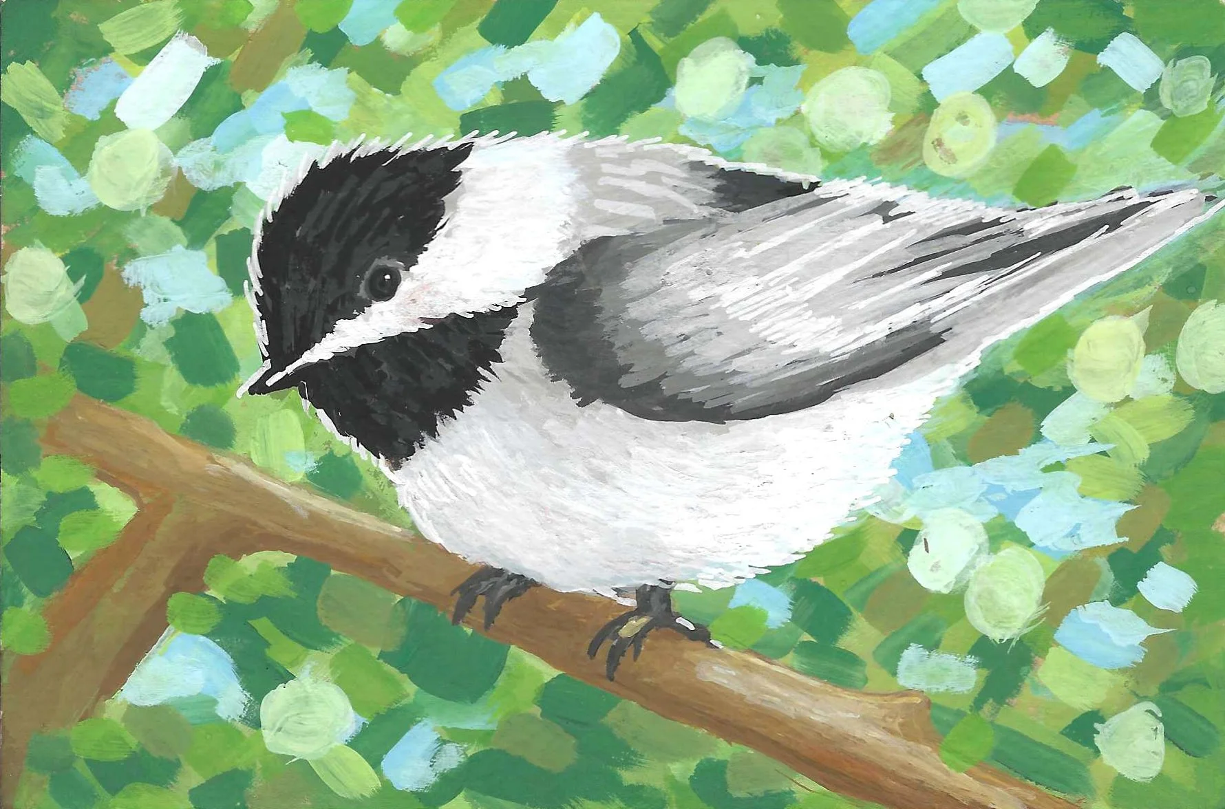 Chickadee.jpg