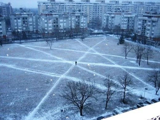 Bramble Newsletter Issue 1: Desire Paths