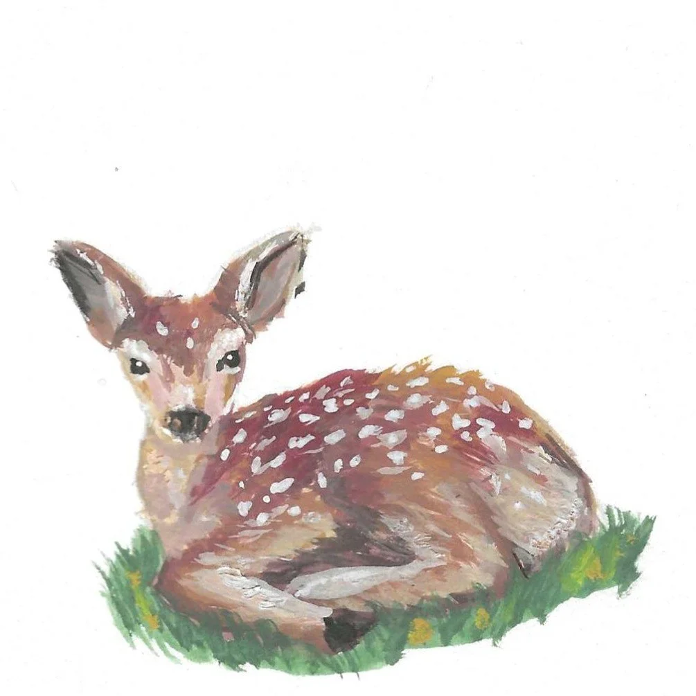 Spring Fawn - Gouache.jpg