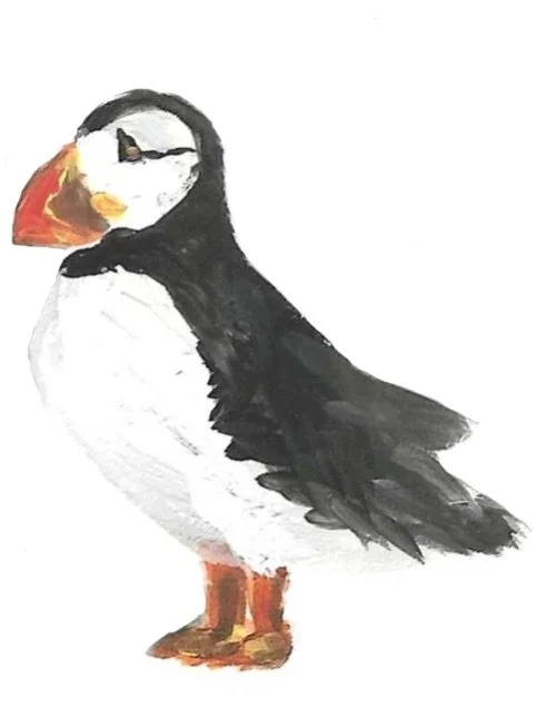 ArcticPuffin-Gouache.jpeg
