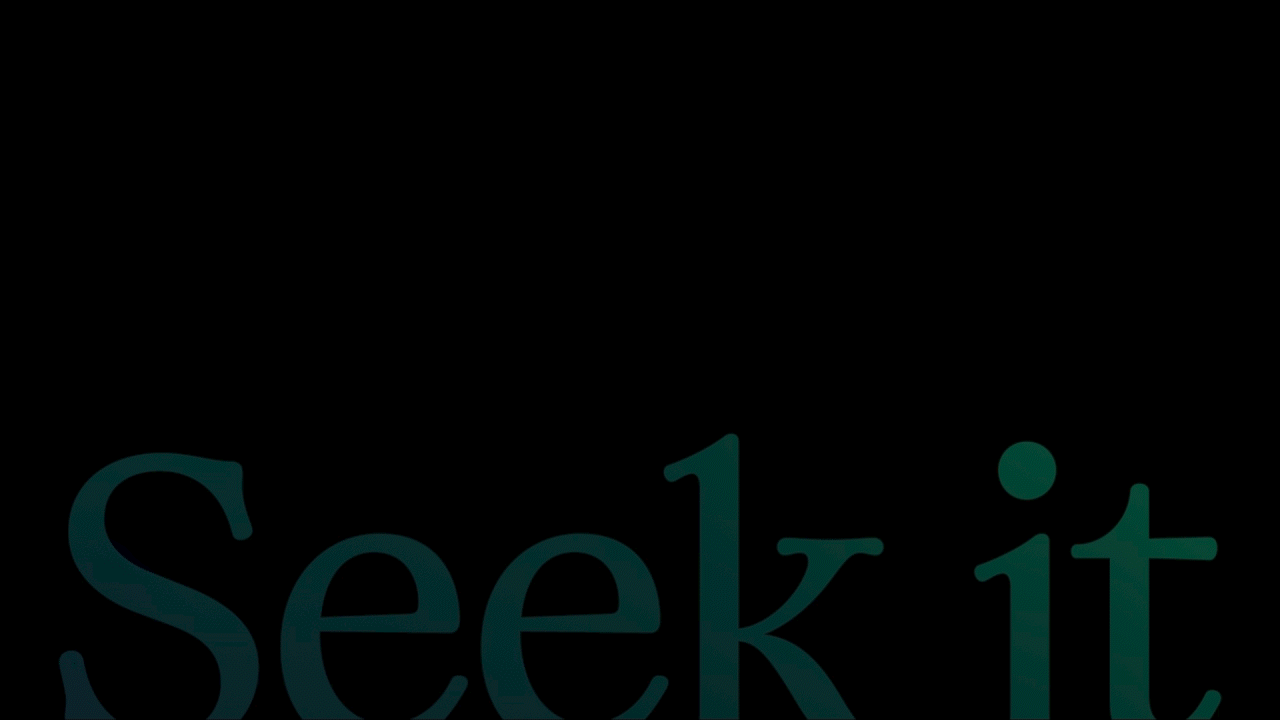 SEEK IT_720.gif