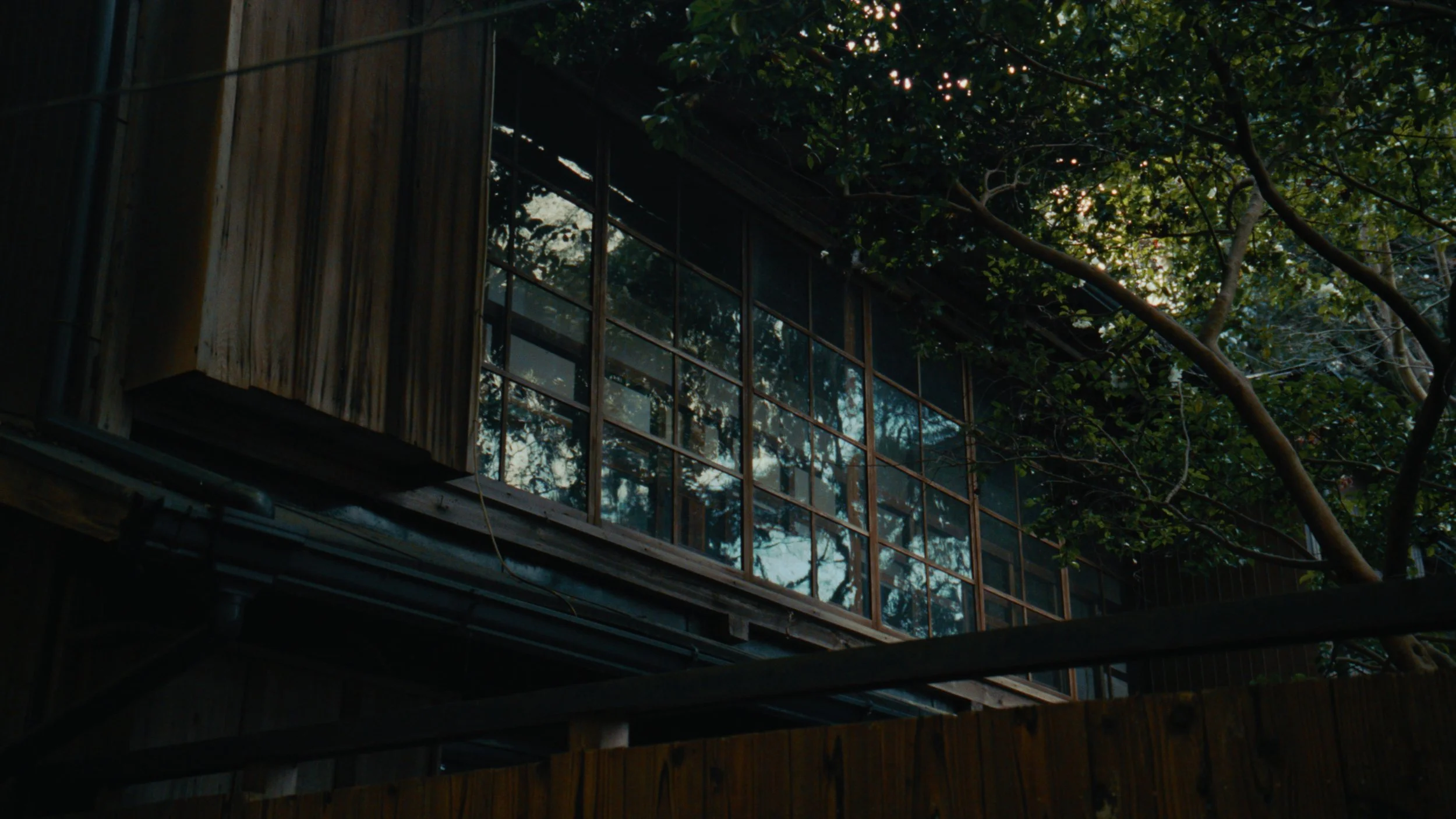 A building with large glass windows surrounded by trees with green leaves, reflected in the glass.