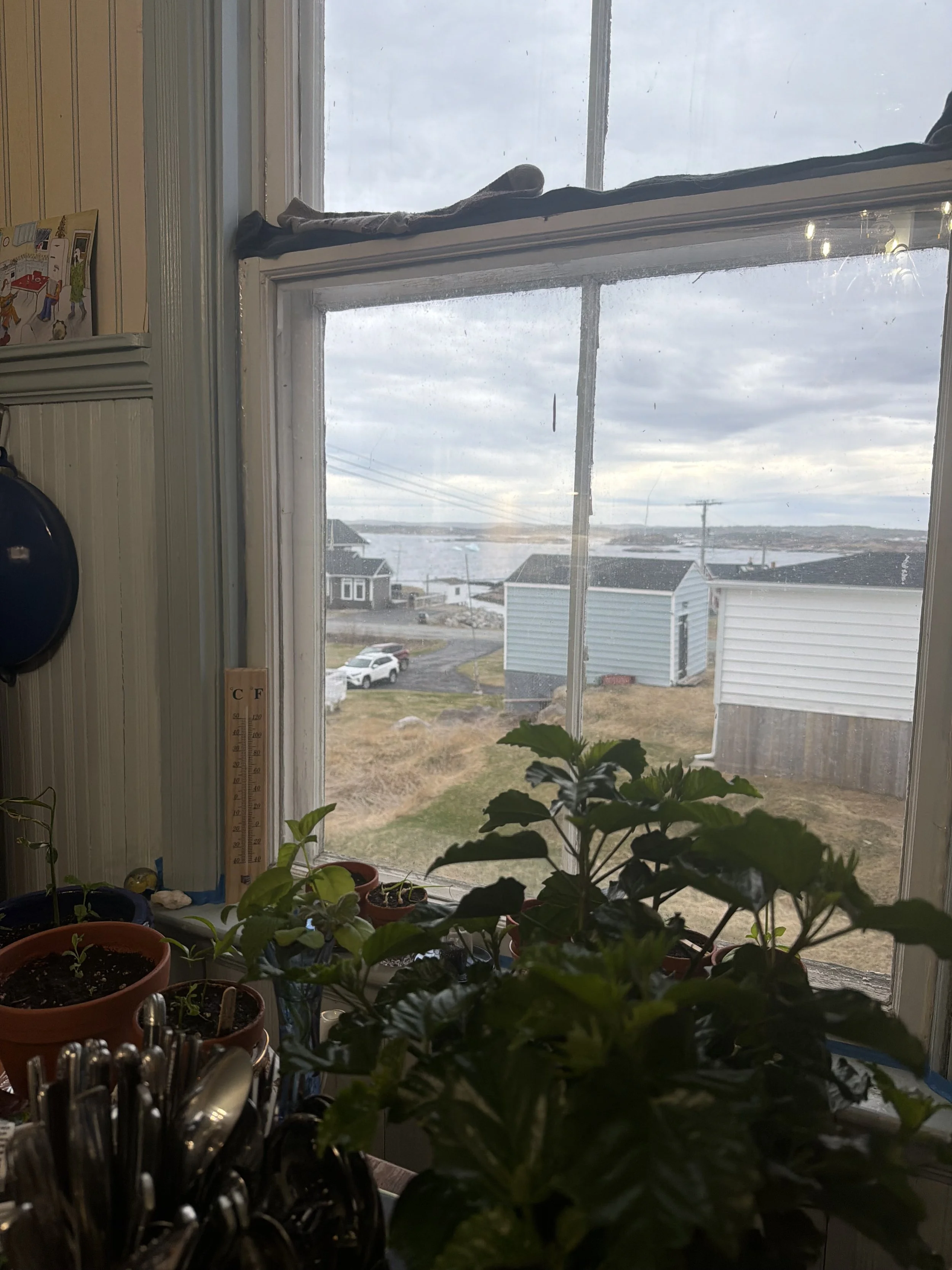 IMG_5964.jpeg