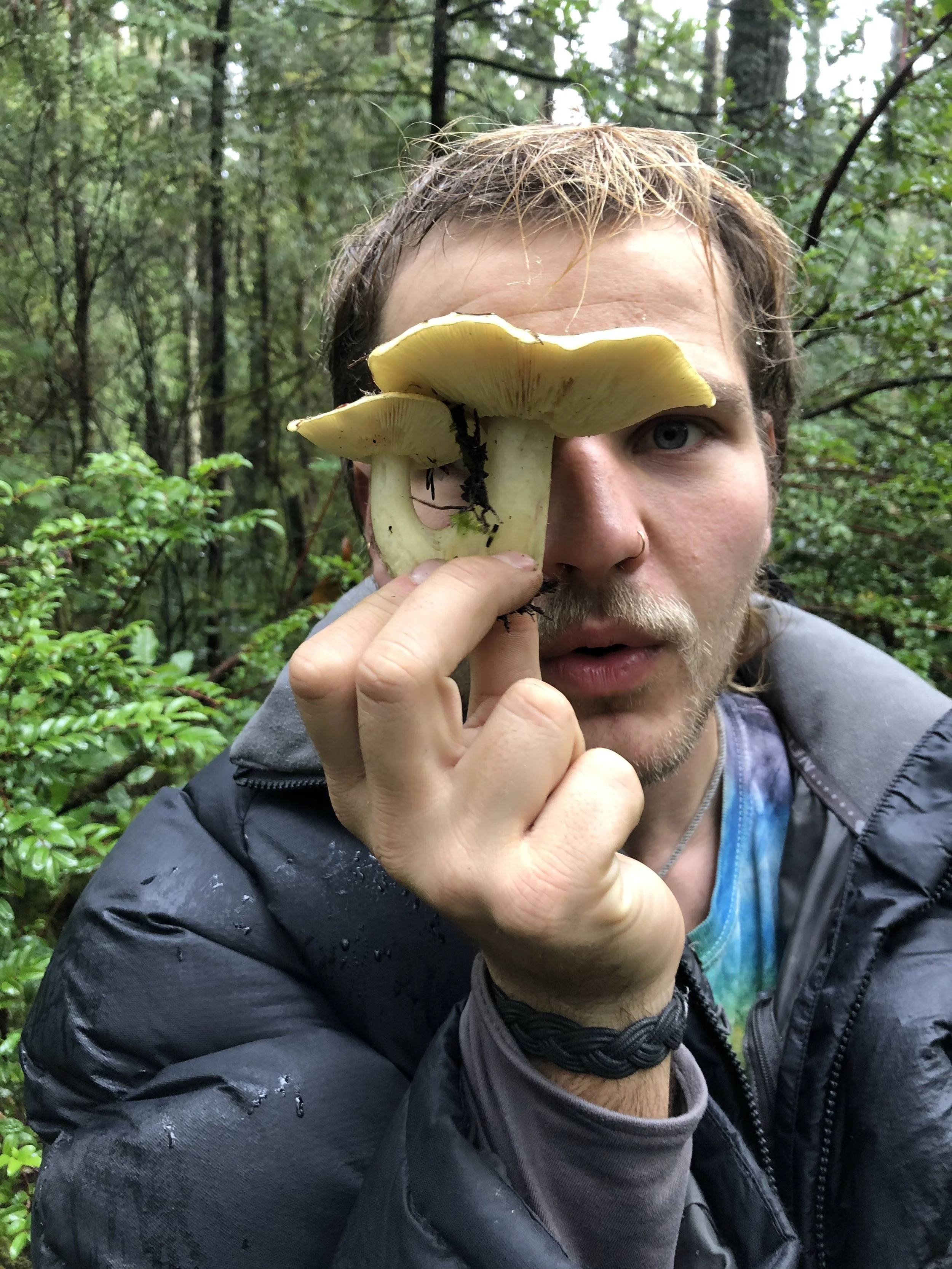 A man with long hair and a nose ring holding a large mushroom in his hand in a forested area.