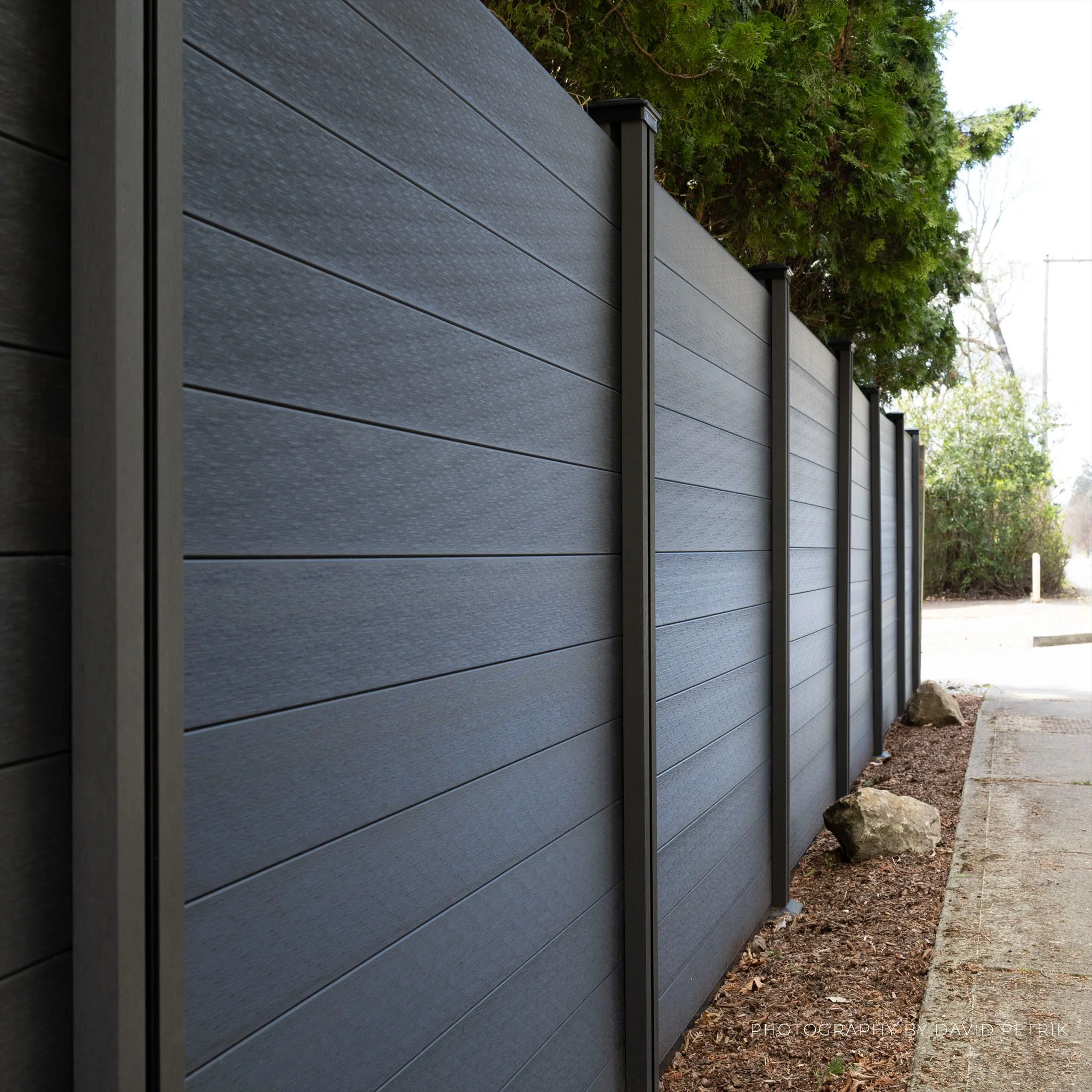 Fencing Close-up.jpg