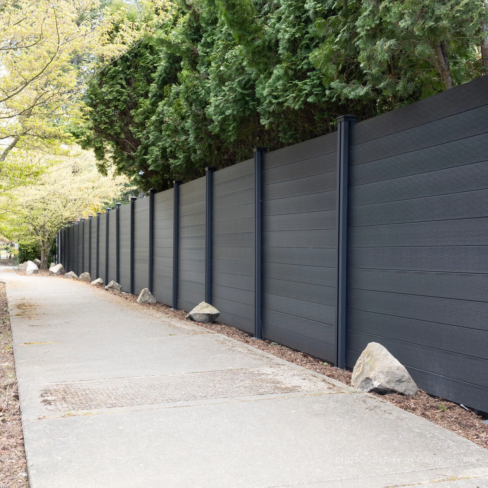 Fencing Wide Shot 2.jpg