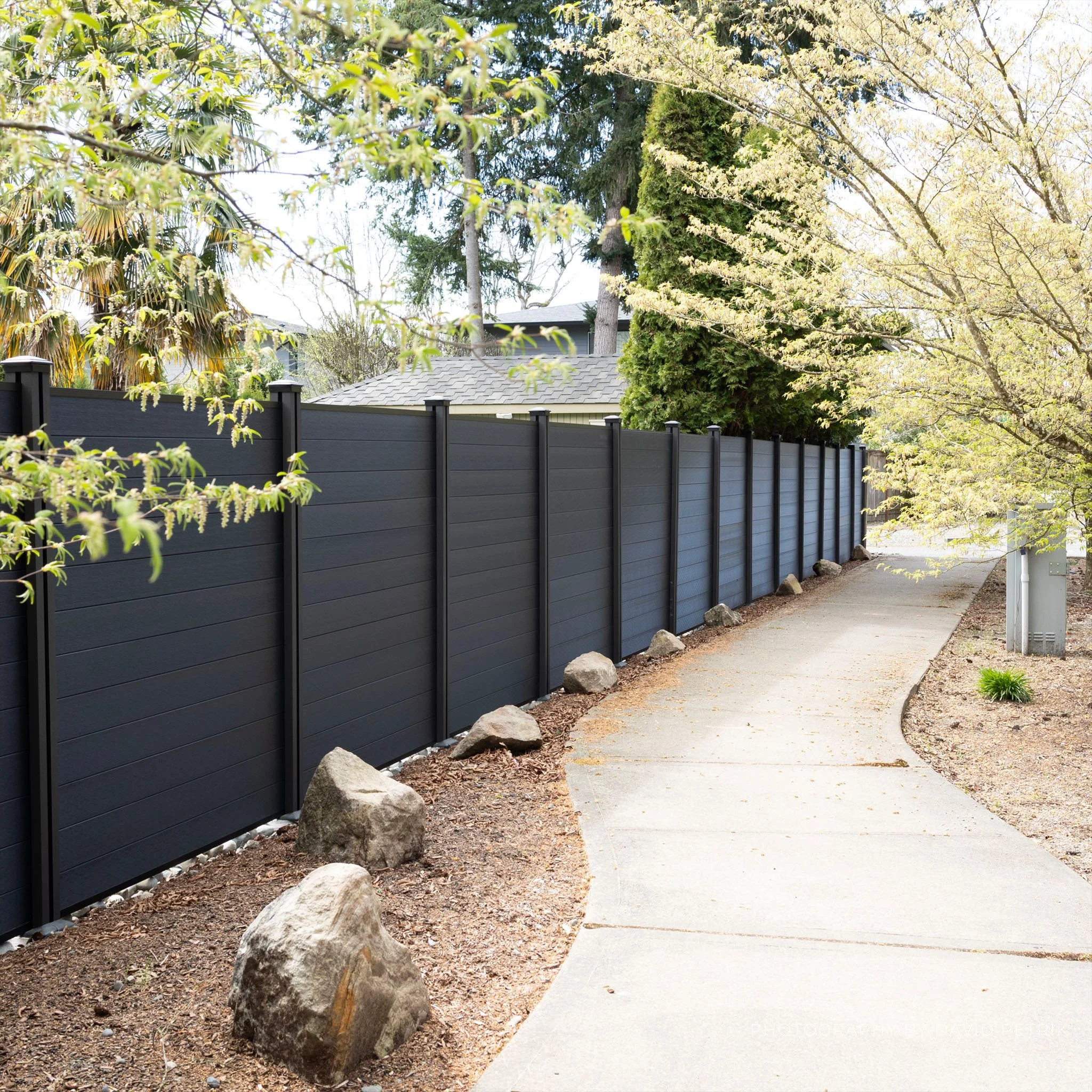 Fencing Wide Shot 1.jpg