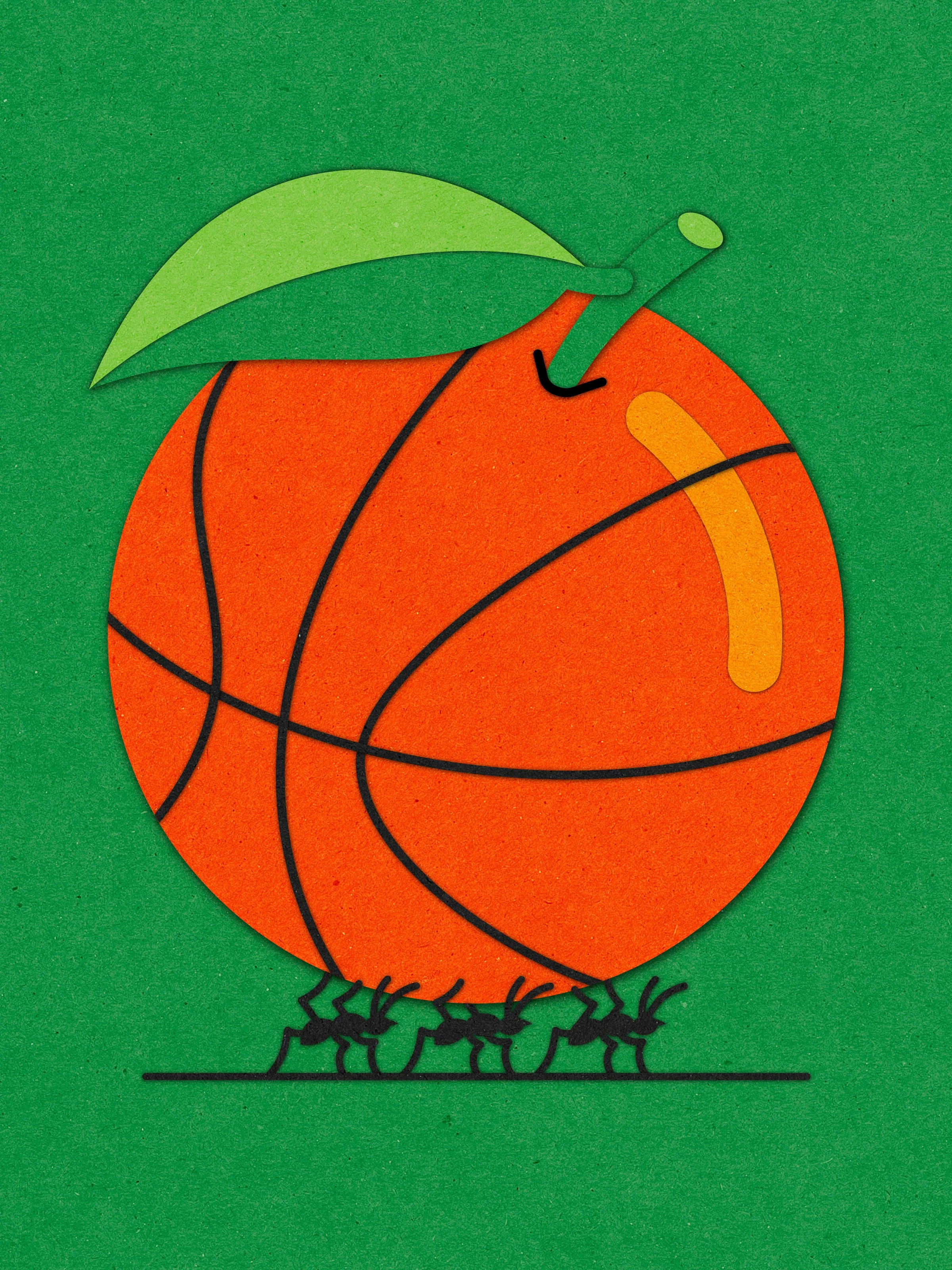 Three ants carrying a fruit that looks like a basketball.