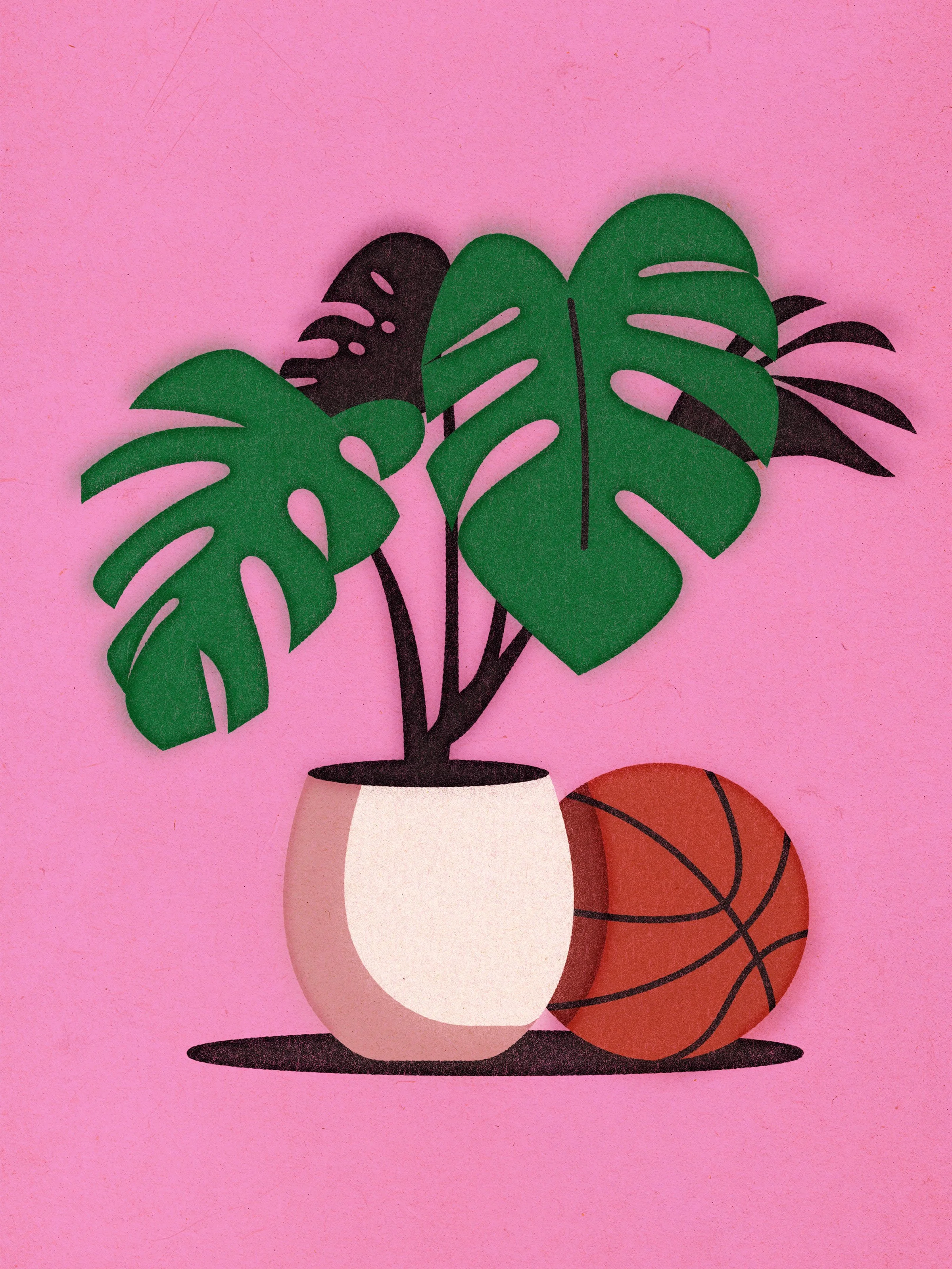 Potted monstera plant with a basketball.