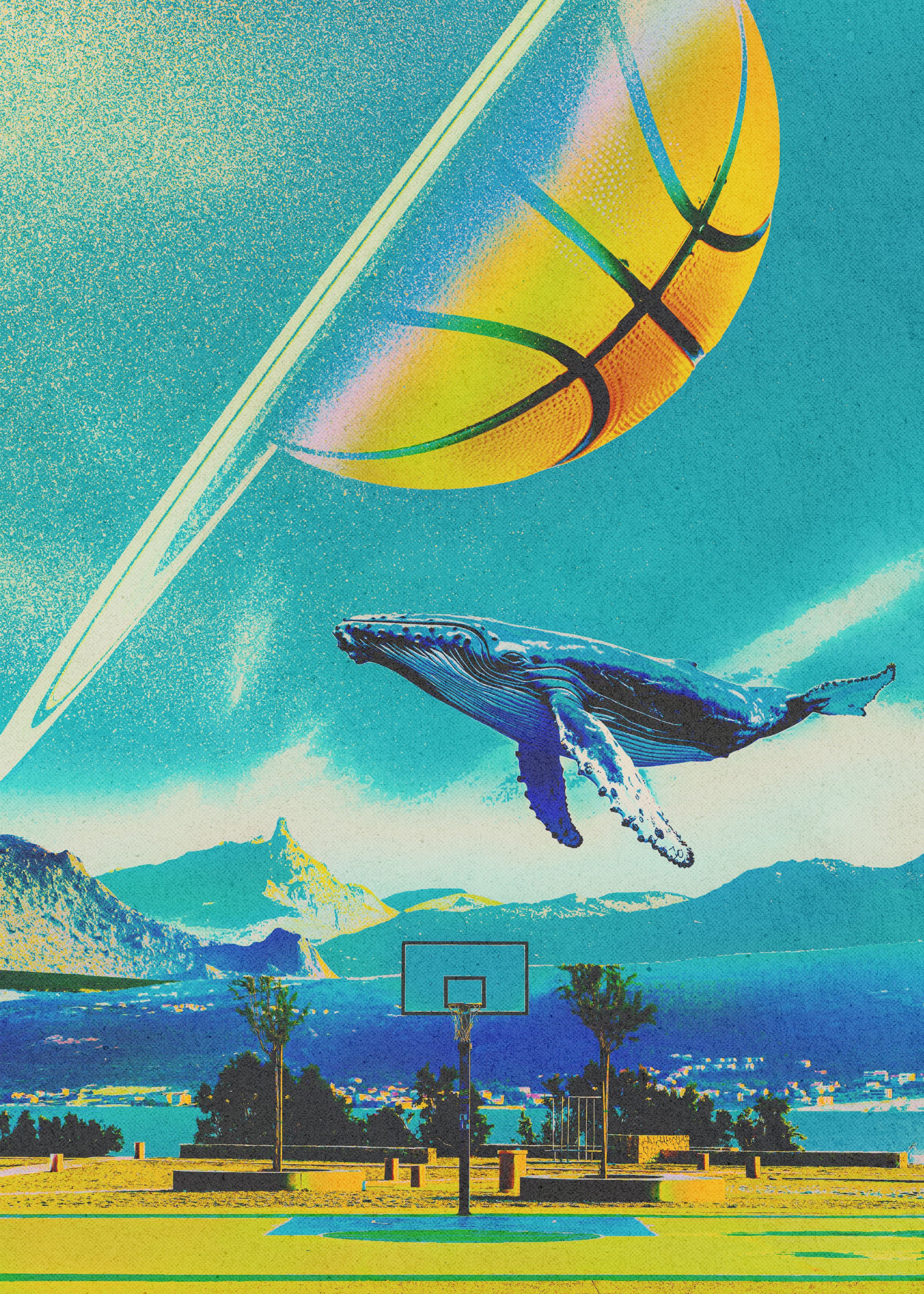 whale-collage-store-version.jpg