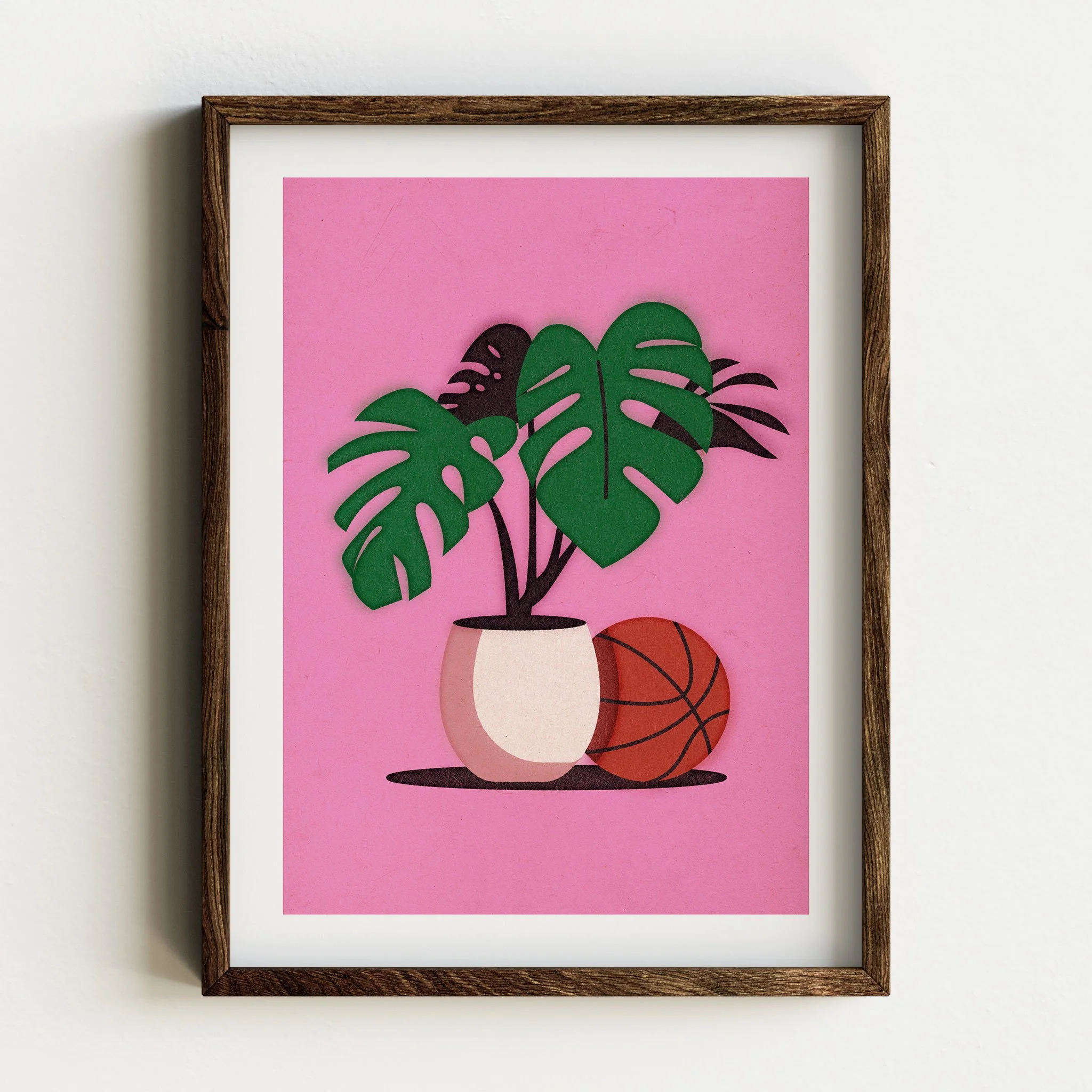 Monstera