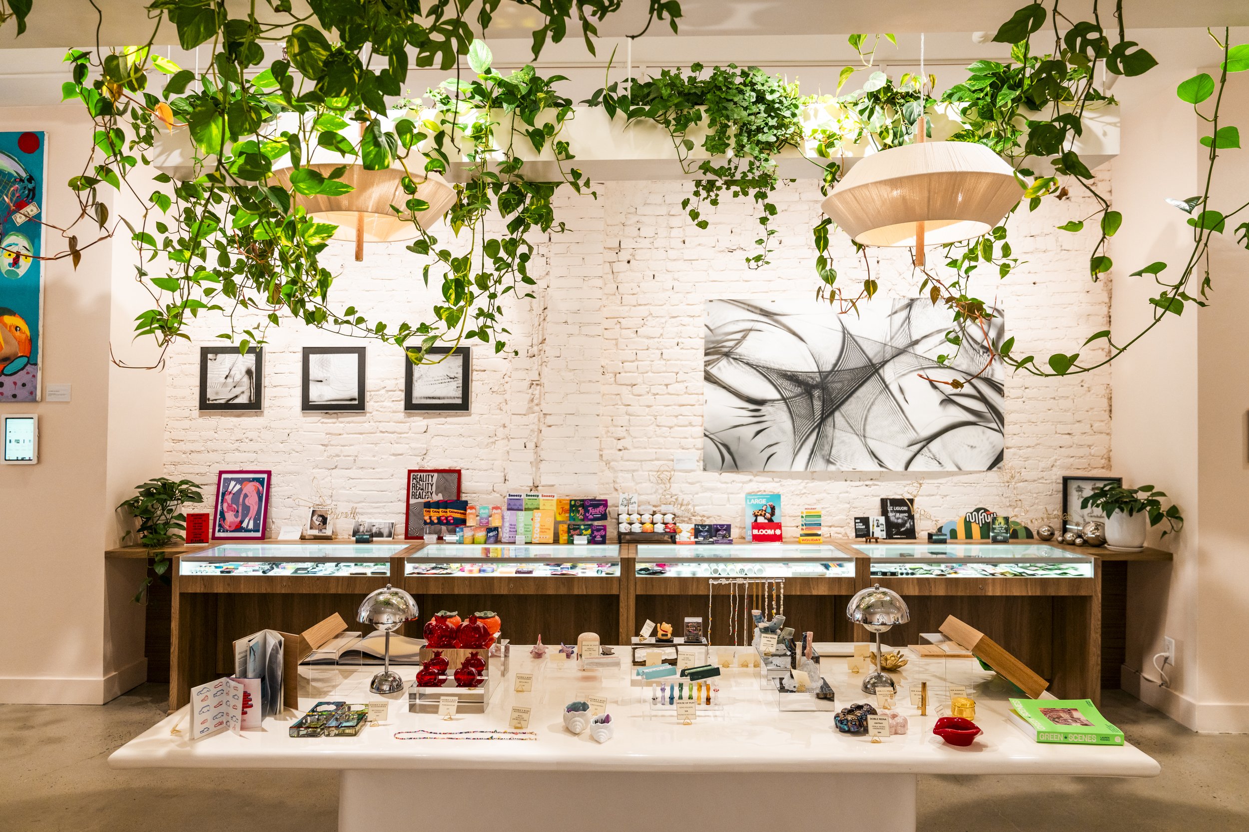 An image of Mighty Lucky.