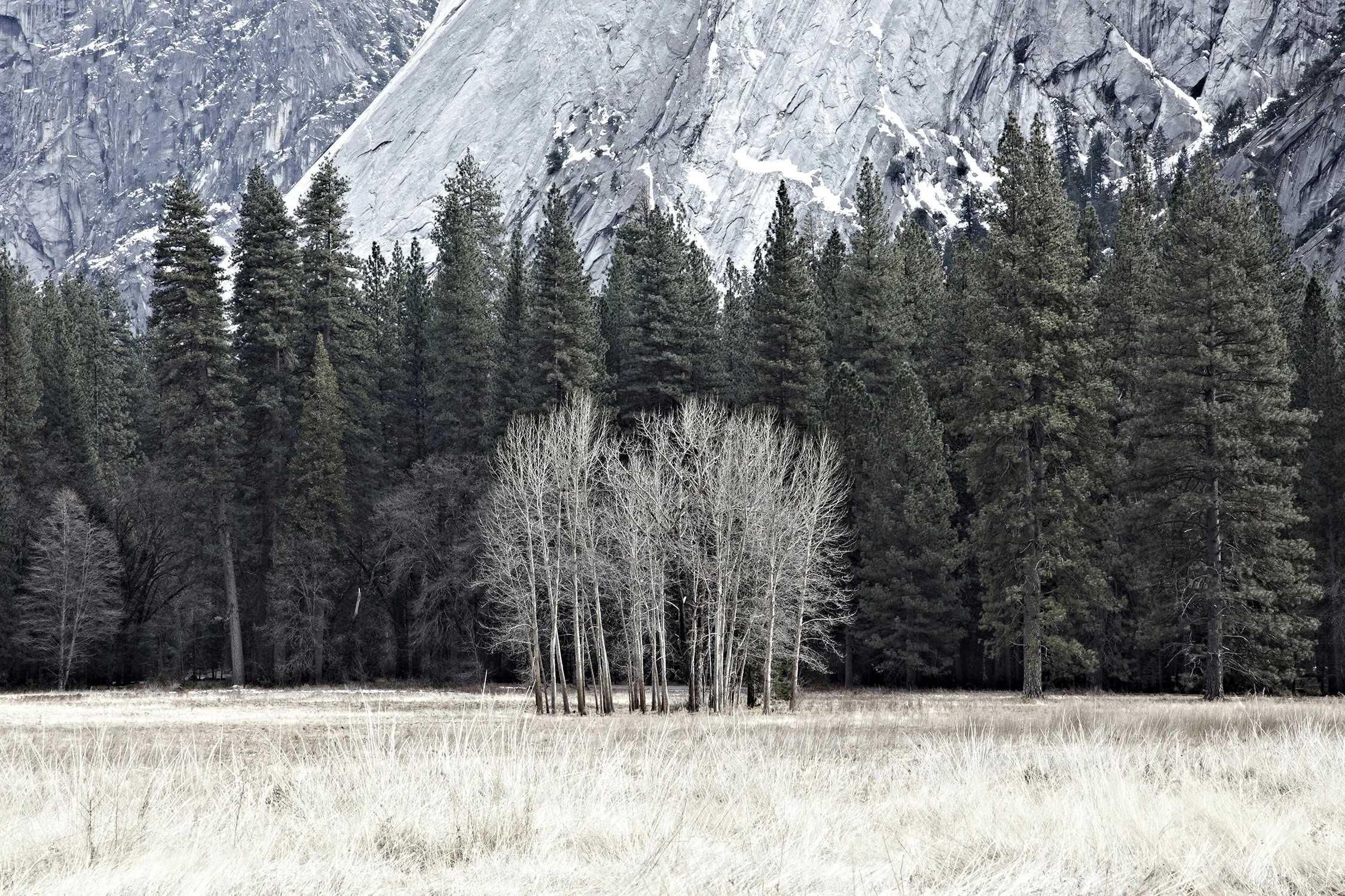 Dan Annett Photography 02_4