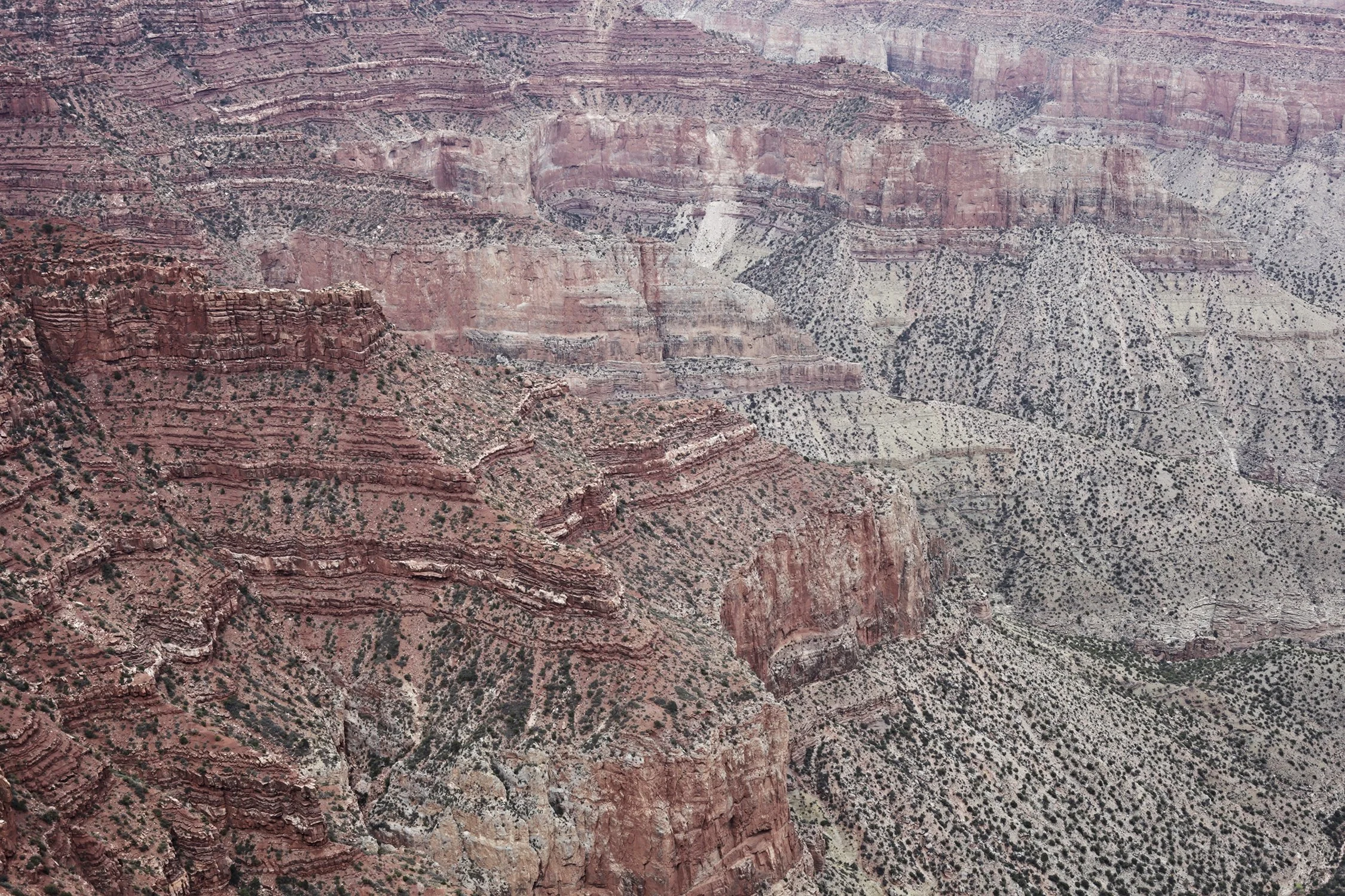 Dan Annett Photography 02_7