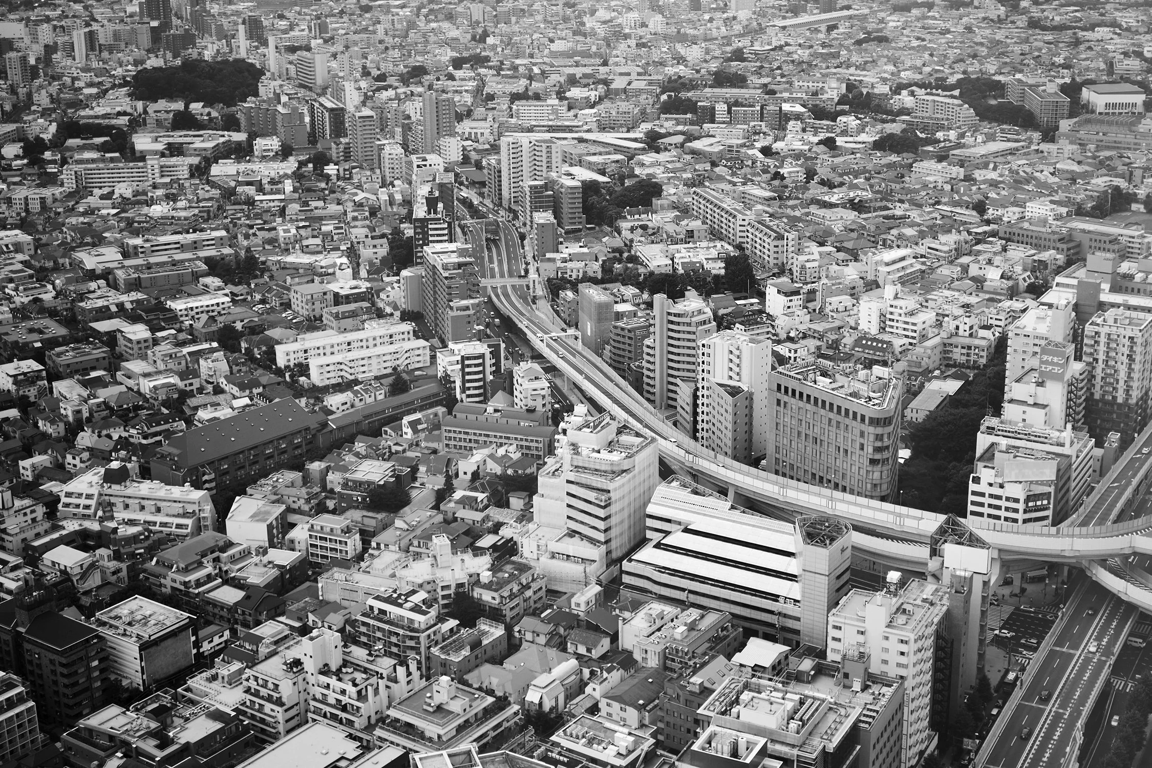 Dan Annett Photography 02_8