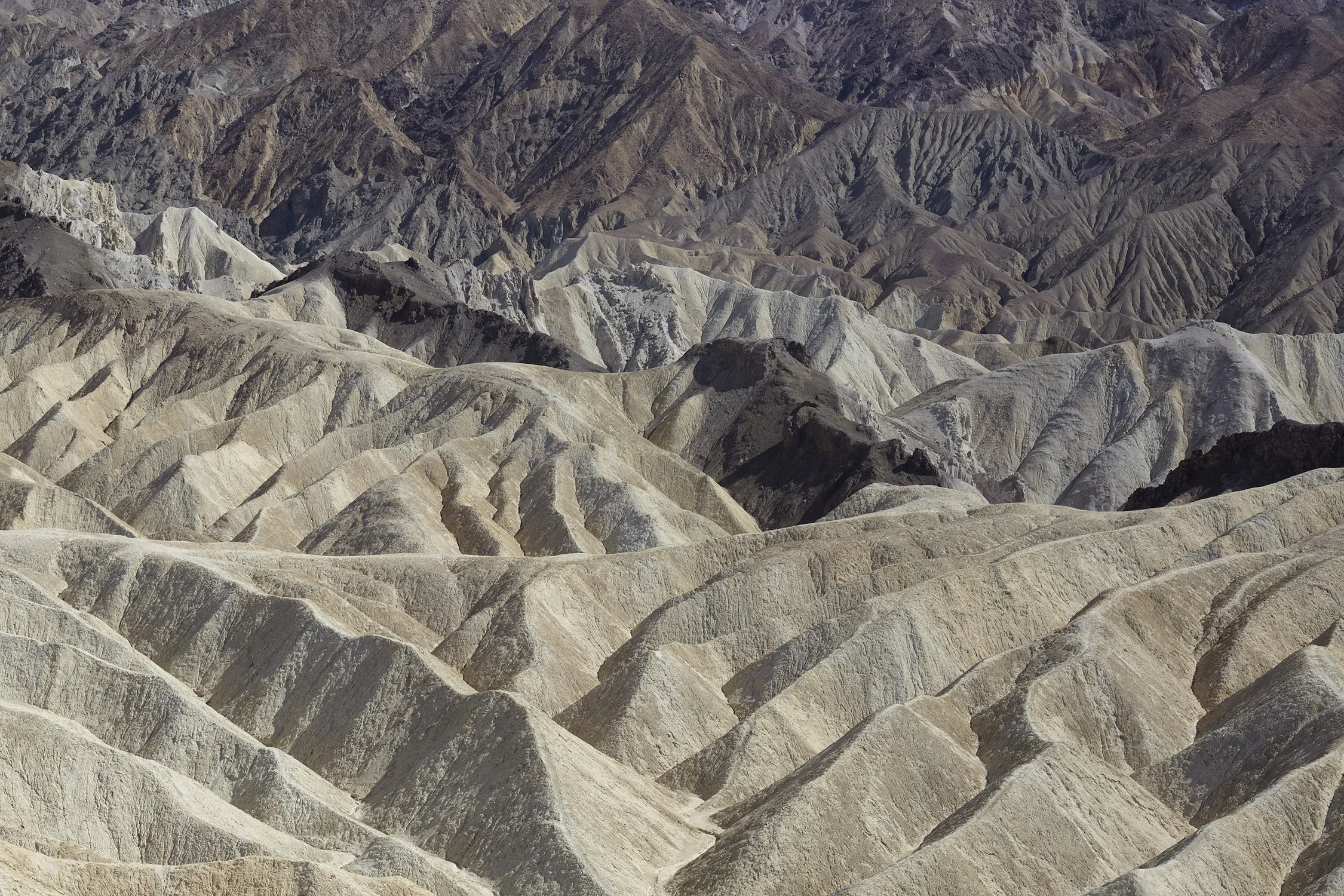 Dan Annett Photography 02_9