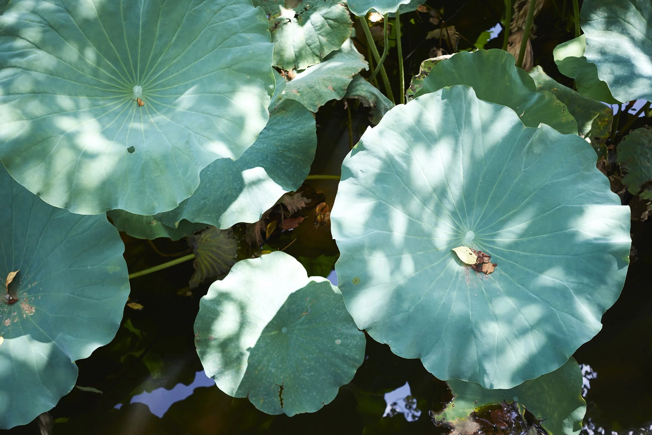 Dan Annett Photography 02_16