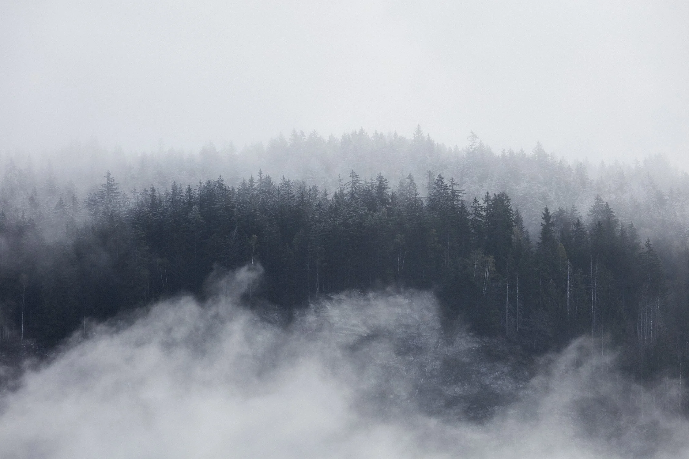 Dan Annett Photography 02_20