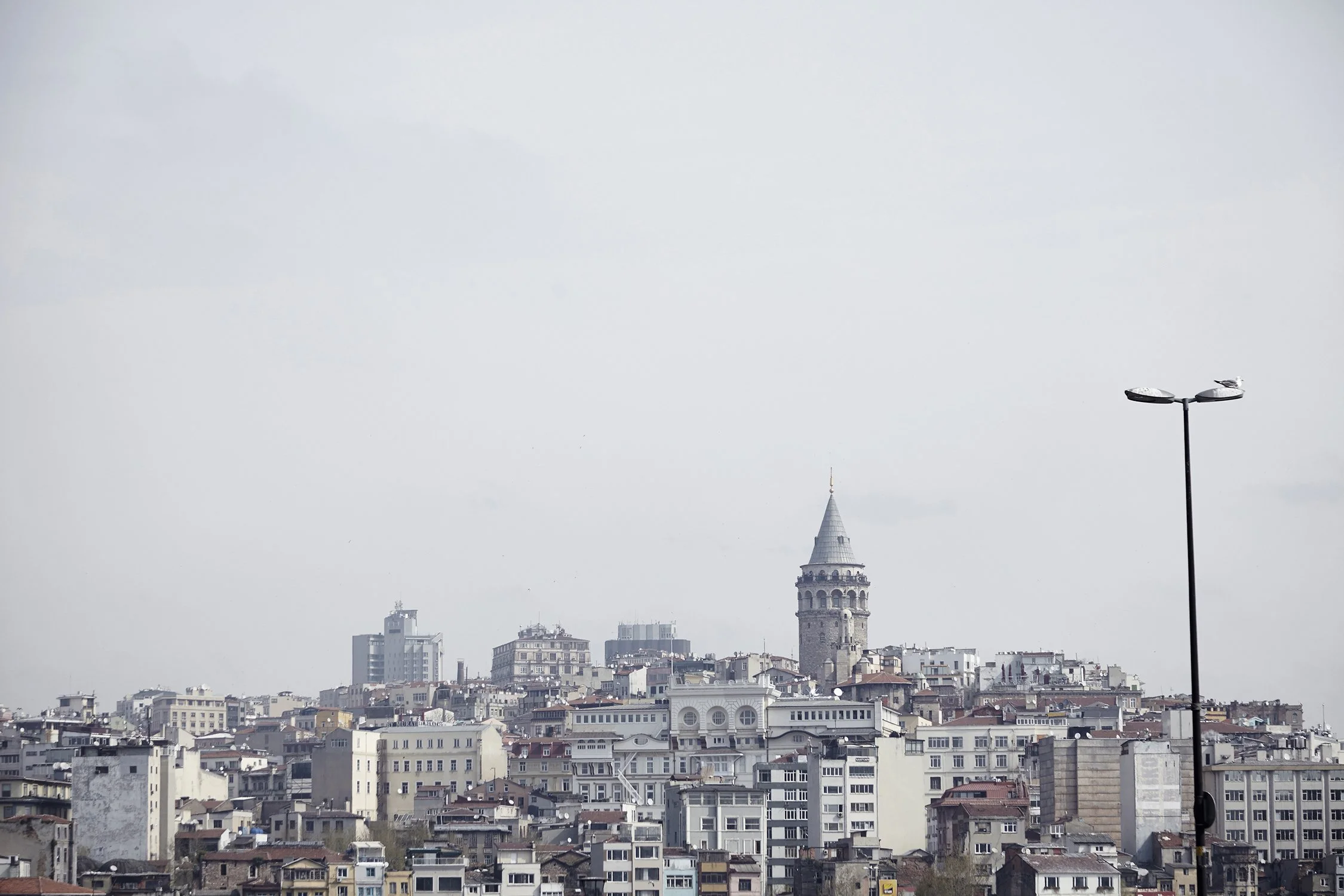 Dan Annett Photography 02_24