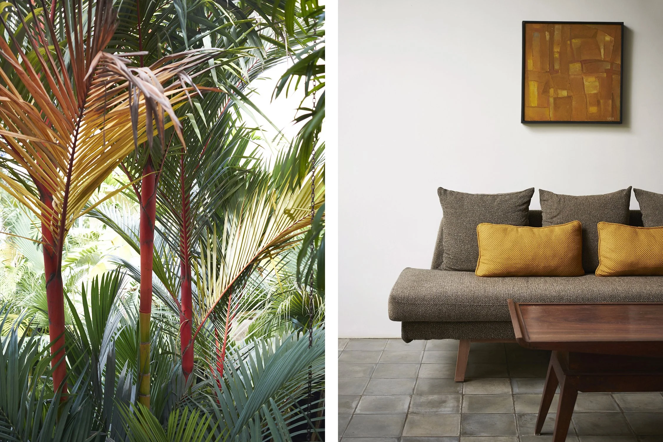 Dan Annett Photography 02_30