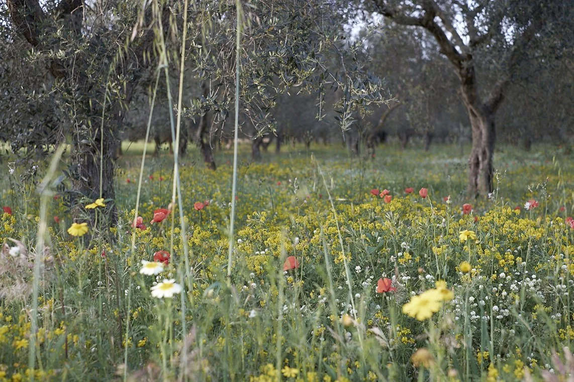 Dan Annett Photography 02_43