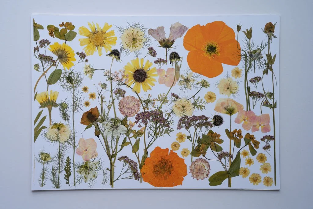 Orange lippy - Print