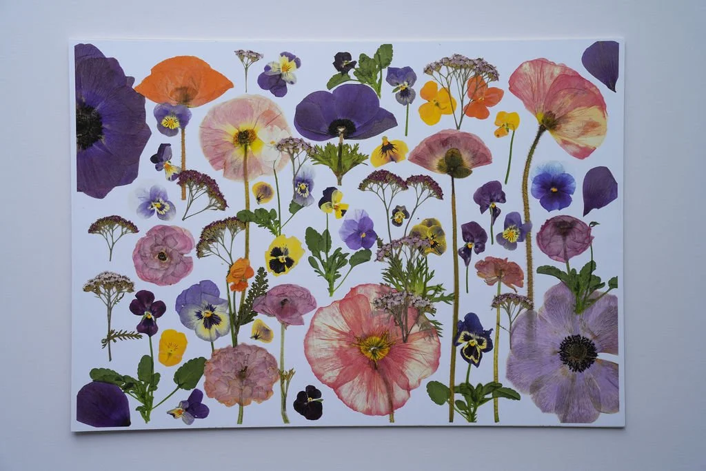 Miss Honeys Garden  - Print