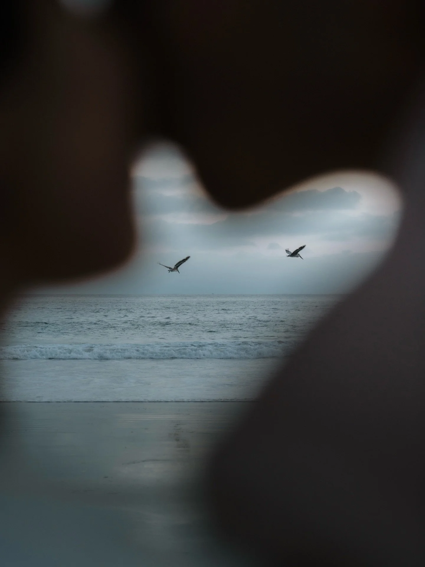 Throwback to my favorite shoot of 2025!

#MaffeyFilms #Photography #materinity #OrangeCounty