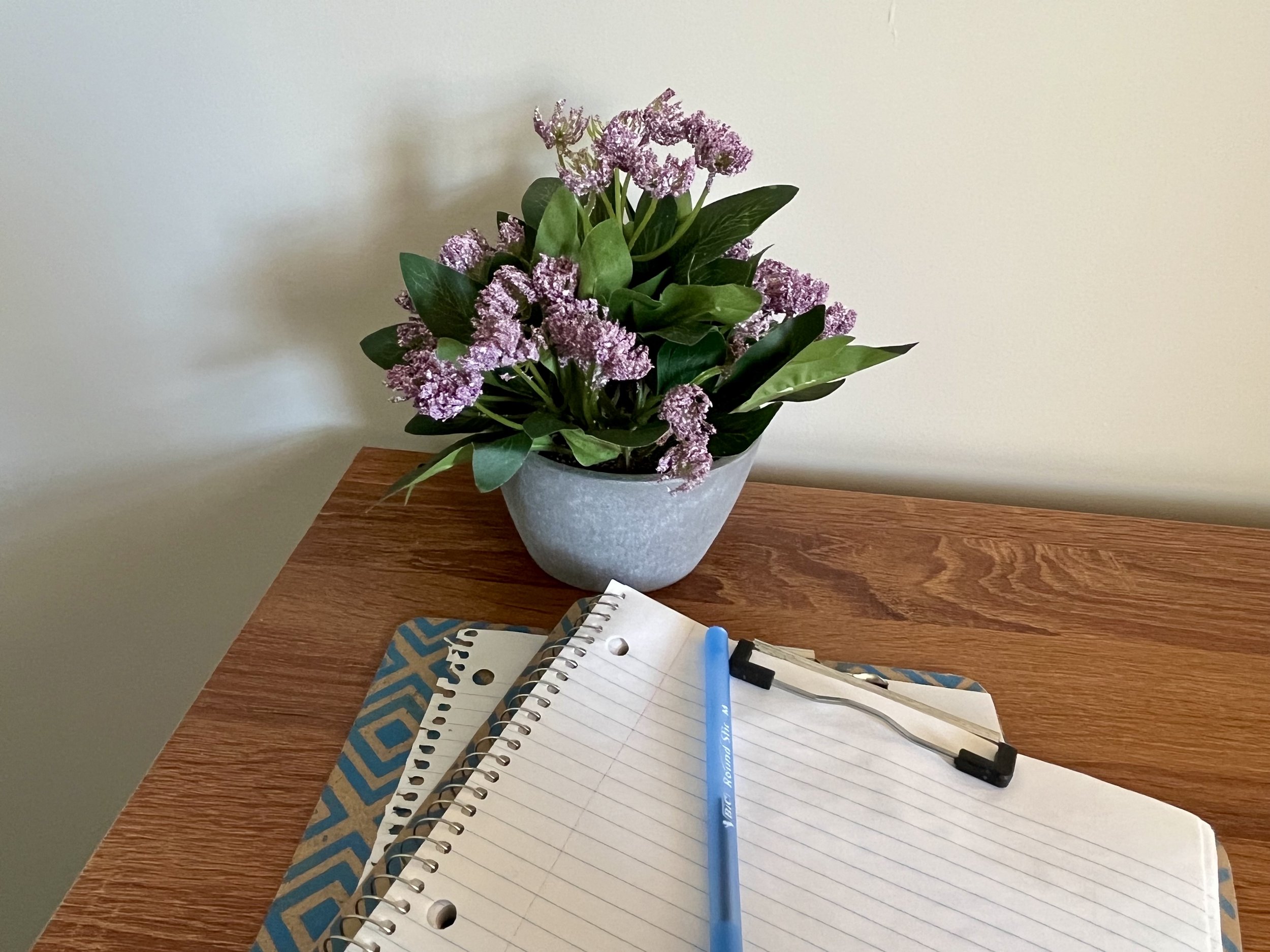 A potted plant with purple flowers and green leaves on a wooden table. In the foreground, there is a spiral notebook, a blue pen, a white pen, and a black marker.