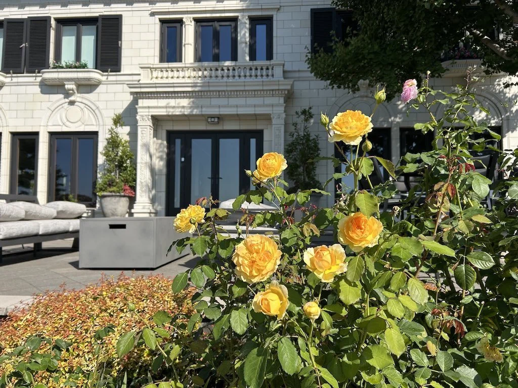 WEB Rose bed queen anne home seattle.jpg