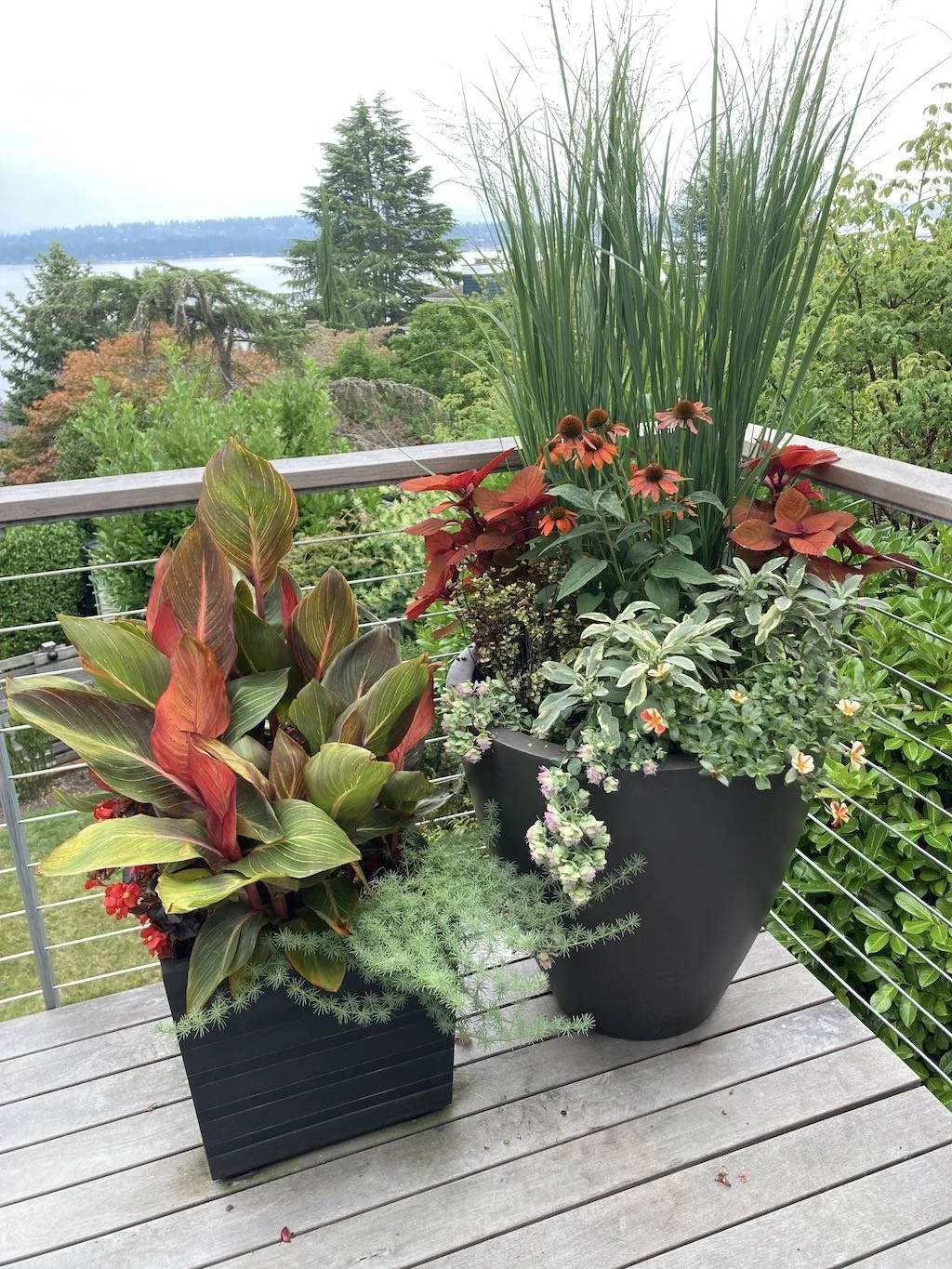 WEB Pots Planters Image.jpg