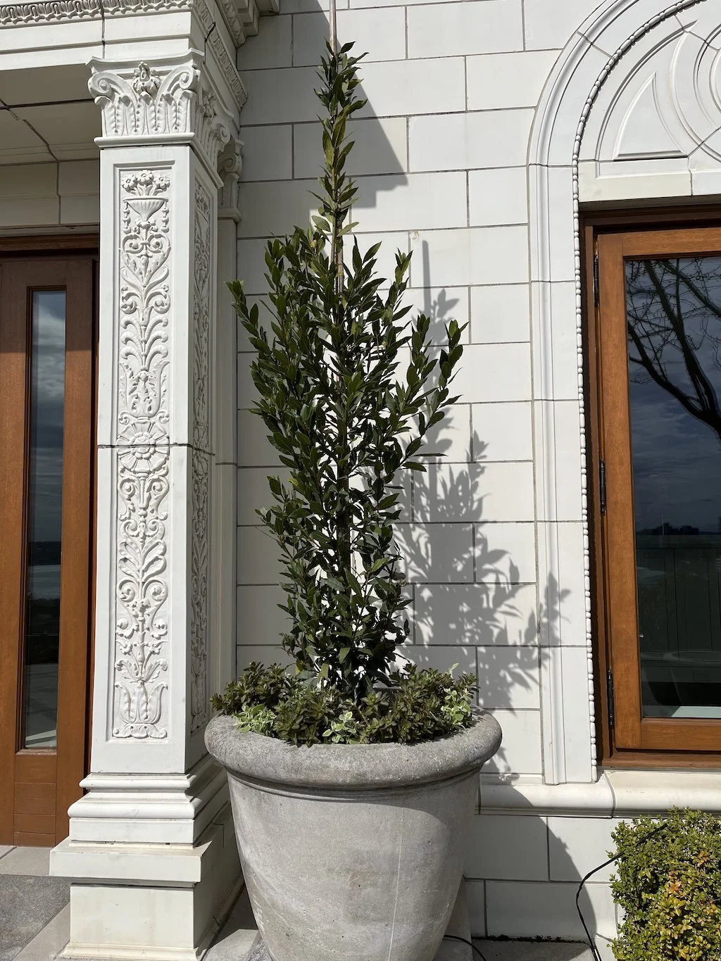 WEB Elegant tall planter Queen Anne home.jpg
