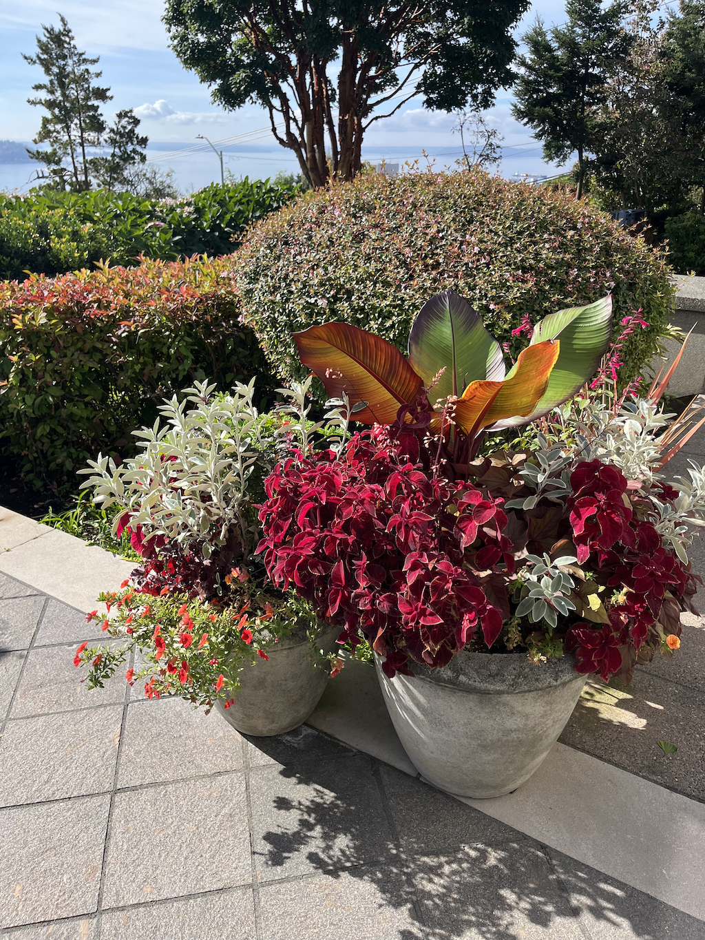 Queen Anne planter.png