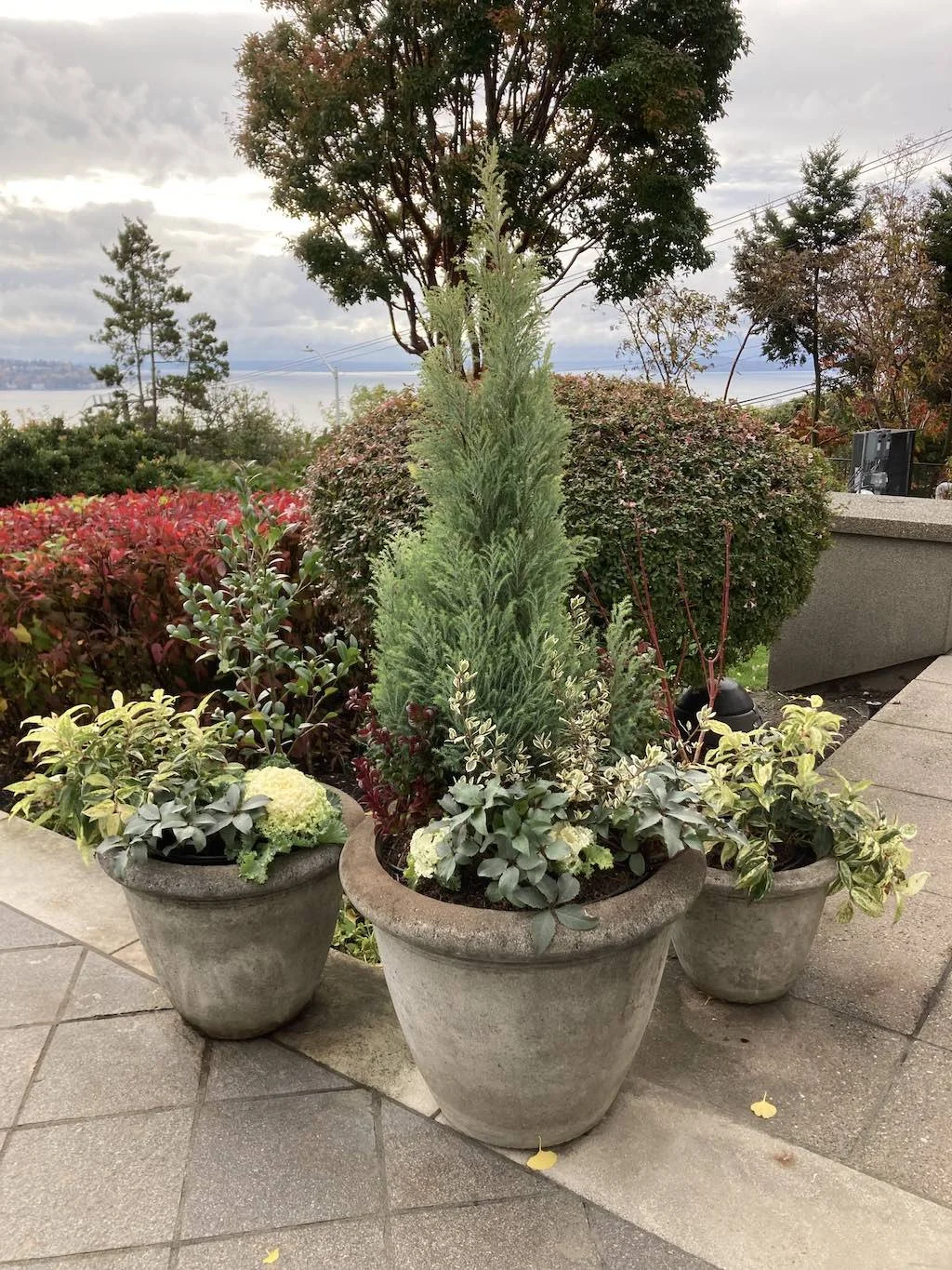 WEB Gorgeous Fine Gardening Seattle Flower planters.jpg