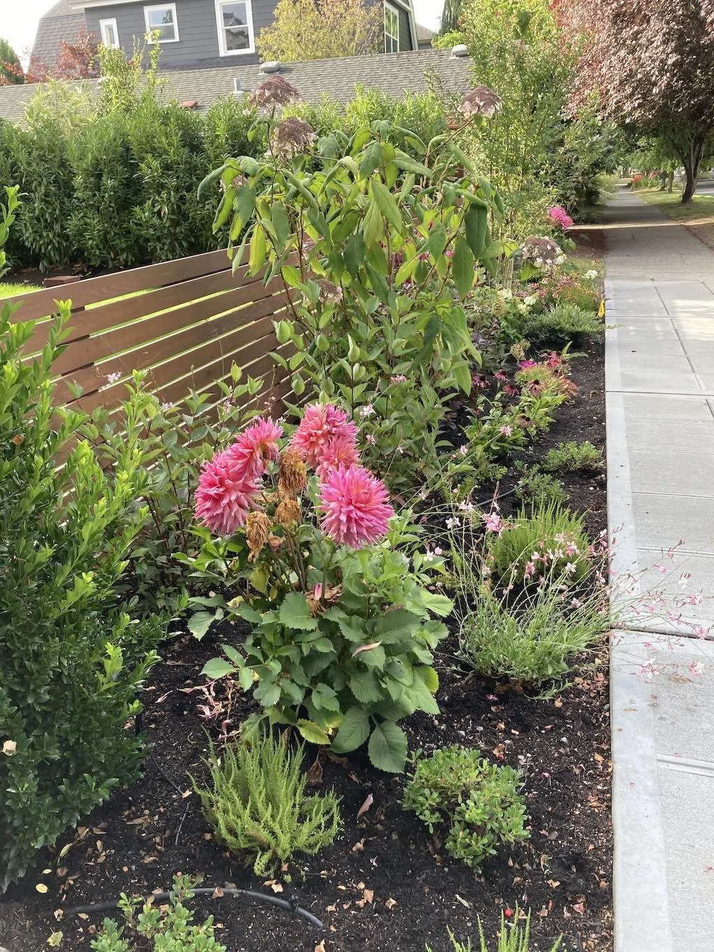 WEB YardGirl garden border .jpg