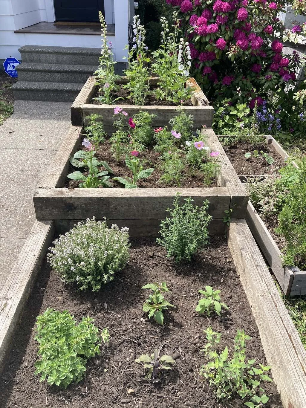 WEB front yard planter beds.jpg