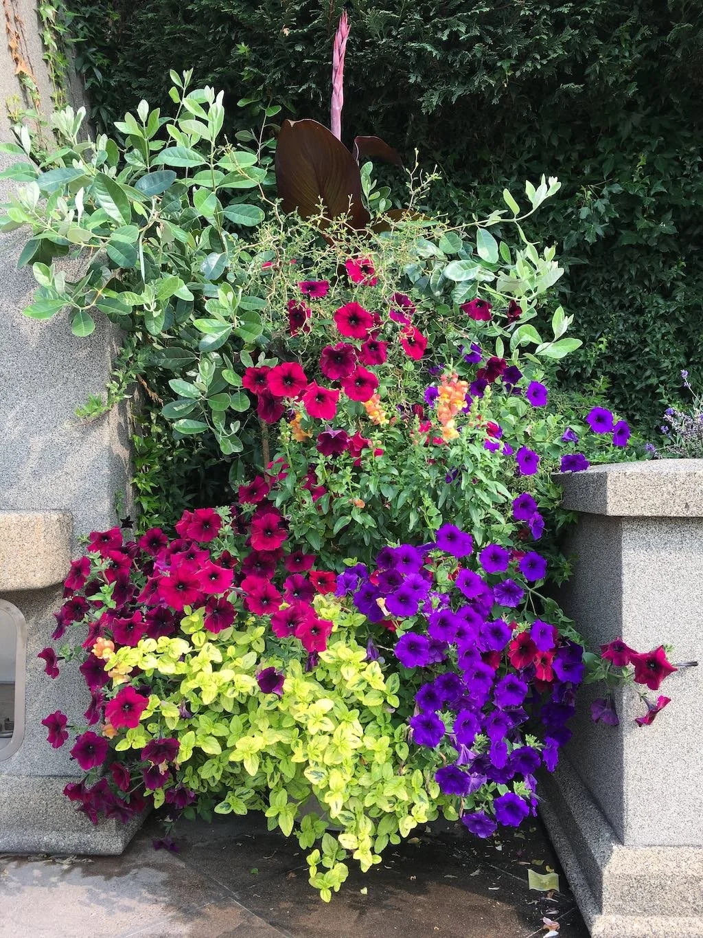 WEB YardGirl Planter 1.jpg