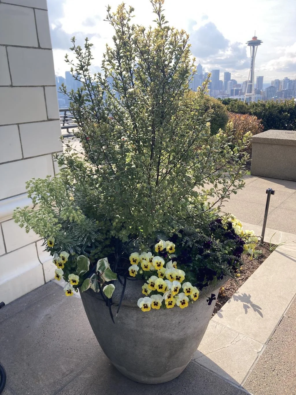 WEB Large Flower pot Queen Anne Home Seattle.jpg