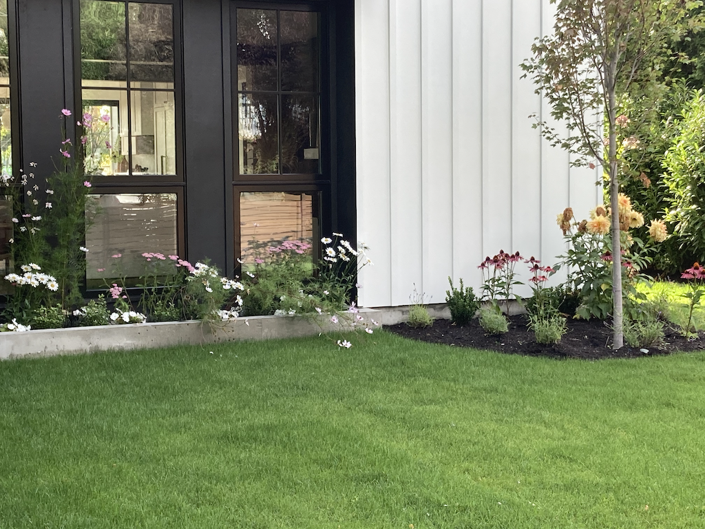 border garden modern home.png