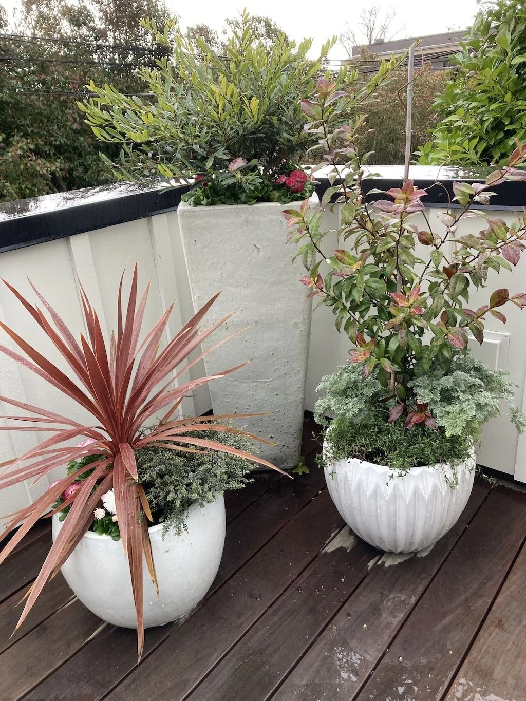 WEB White Flower Pots on Deck.jpg