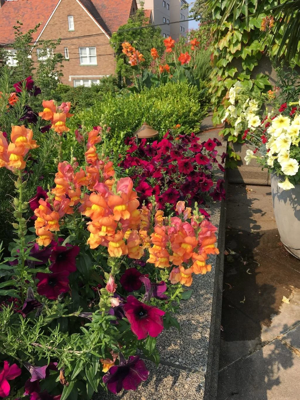 WEB Yardgirl planter bed rooftop.jpg