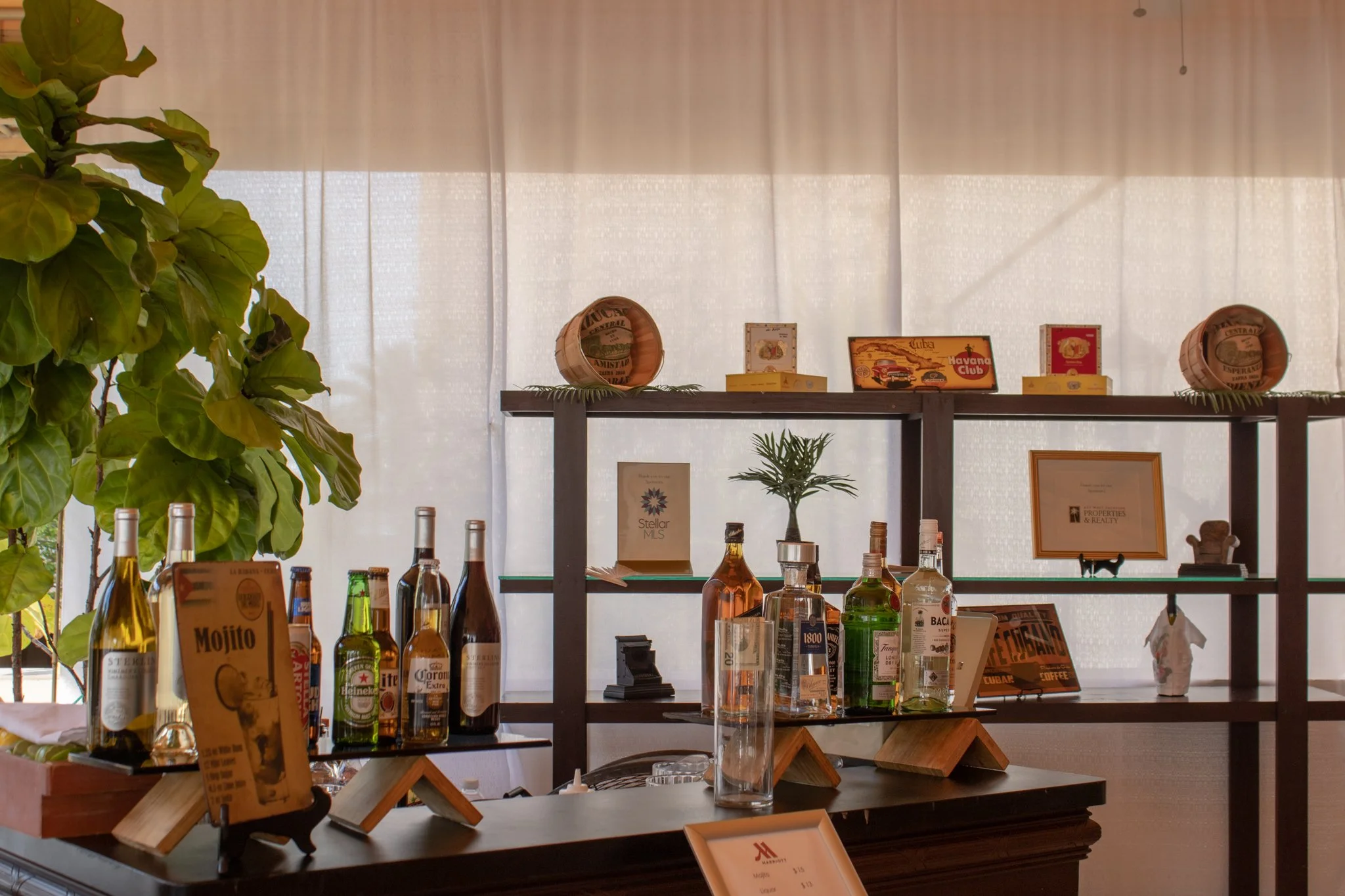 Bar area with various liquor bottles, a small potted plant, framed pictures, and decorative items on shelves, with large leafy plant on the left and a light-colored curtain or wall in the background.
