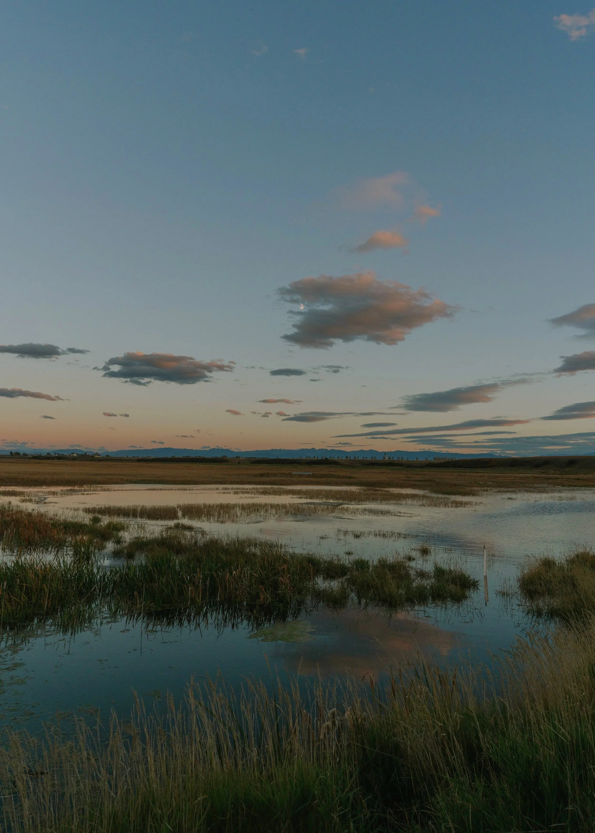 Scenic landscape of a marsh or wetland during sunset, with water reflecting the sky and scattered clouds, and distant mountains on the horizon.